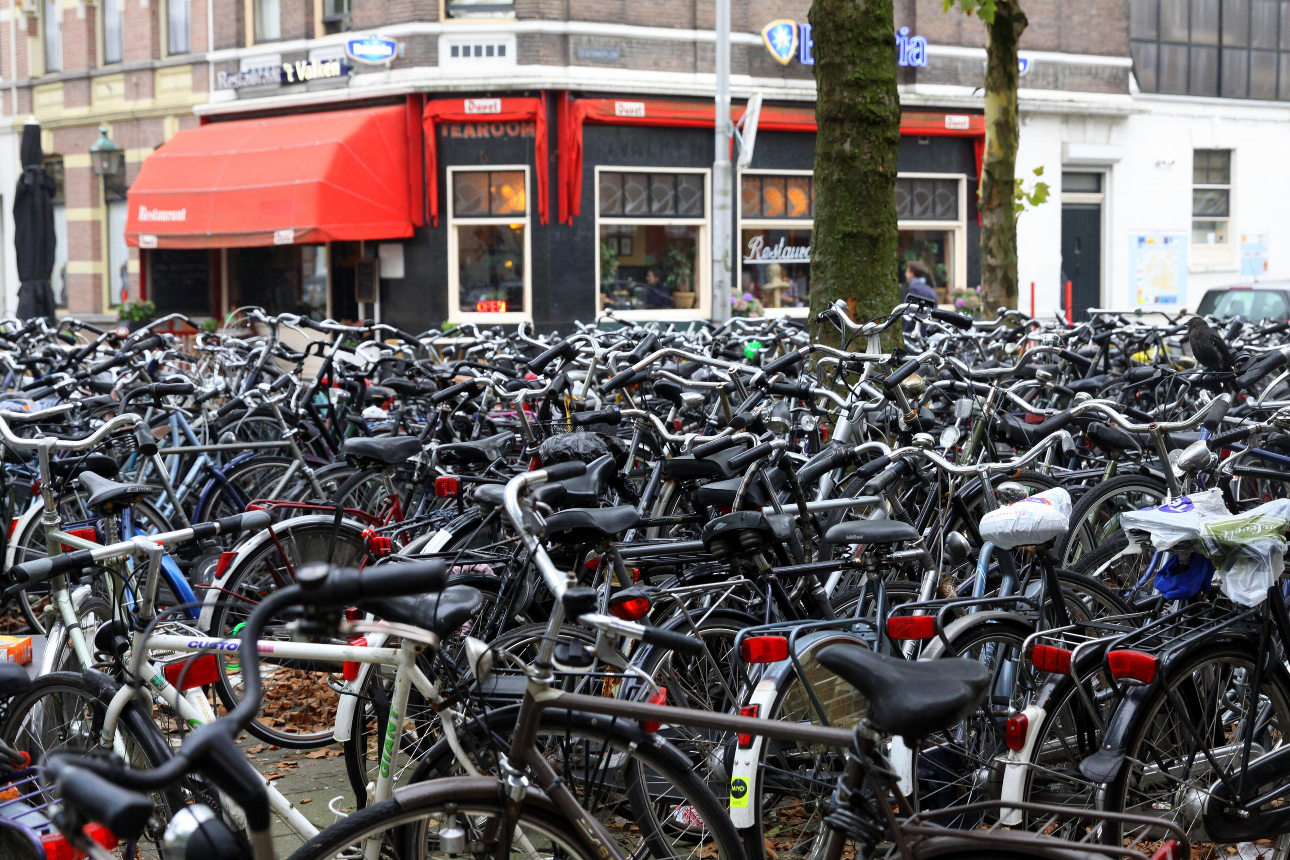 ПУТЕШЕСТВИЯ. Фотограф мероприятий Ирина Каширина