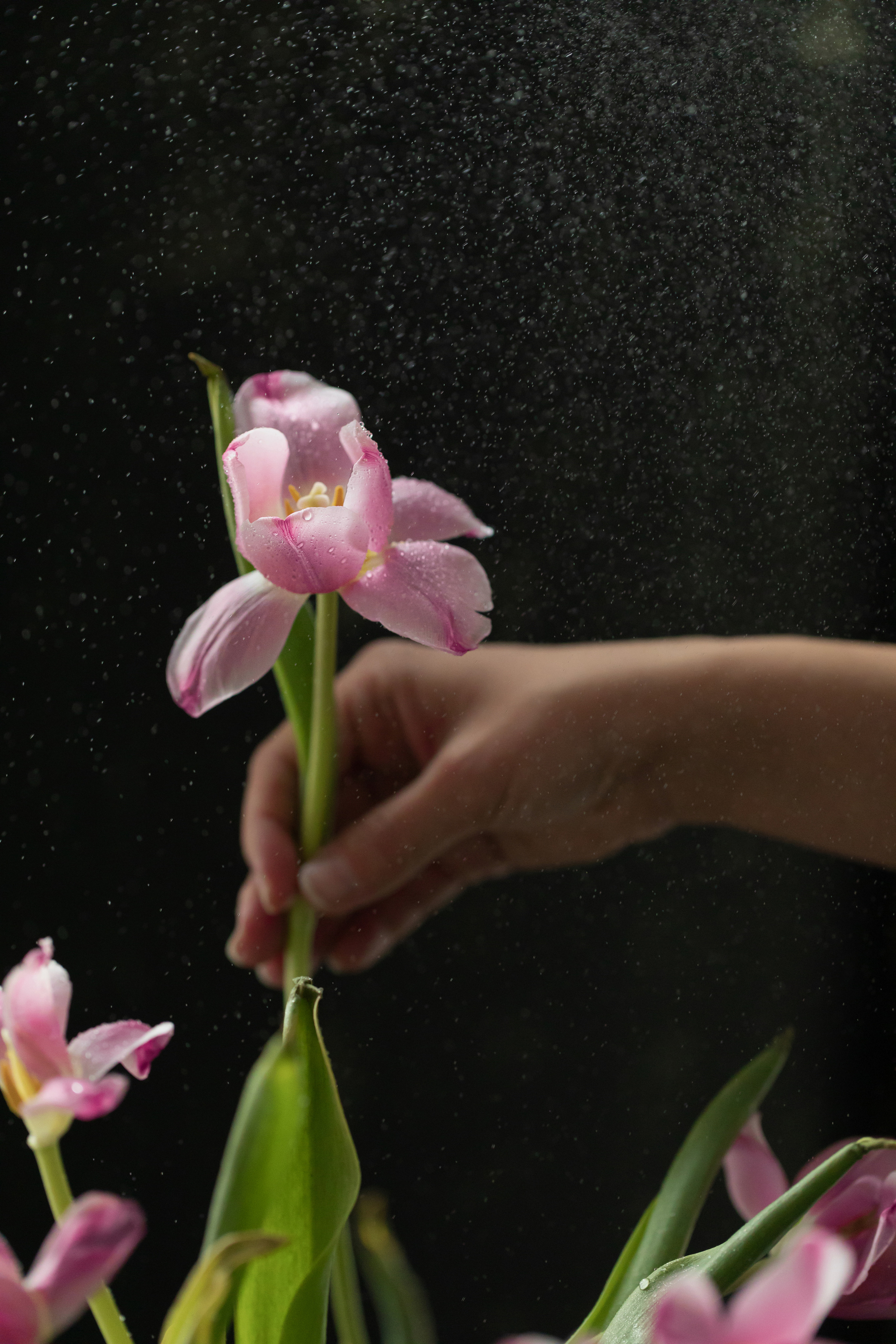 Творческие съёмки. Food и предметный фотограф в Барнауле Ирина Супряженко