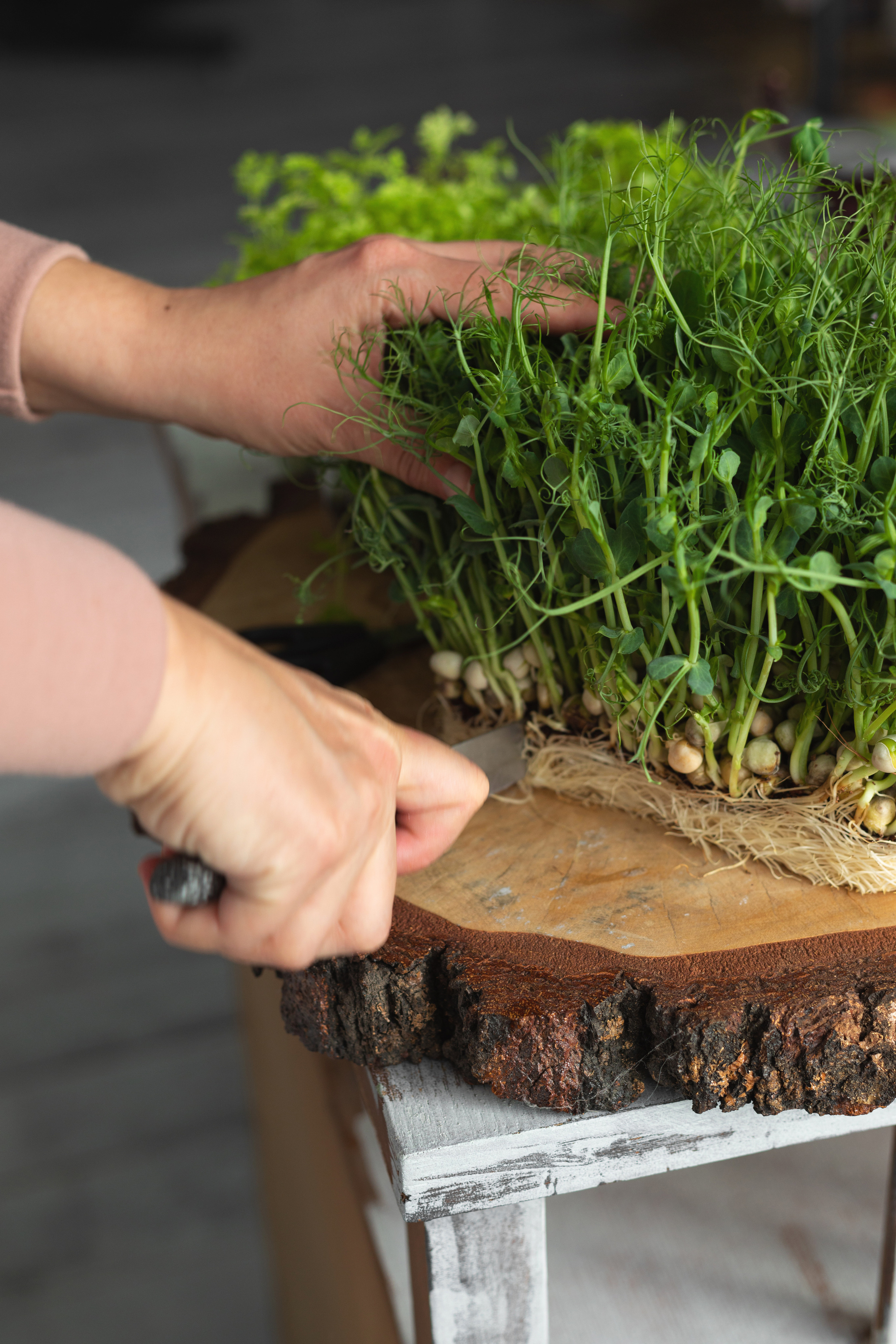 Салат. Food и предметный фотограф в Барнауле Ирина Супряженко