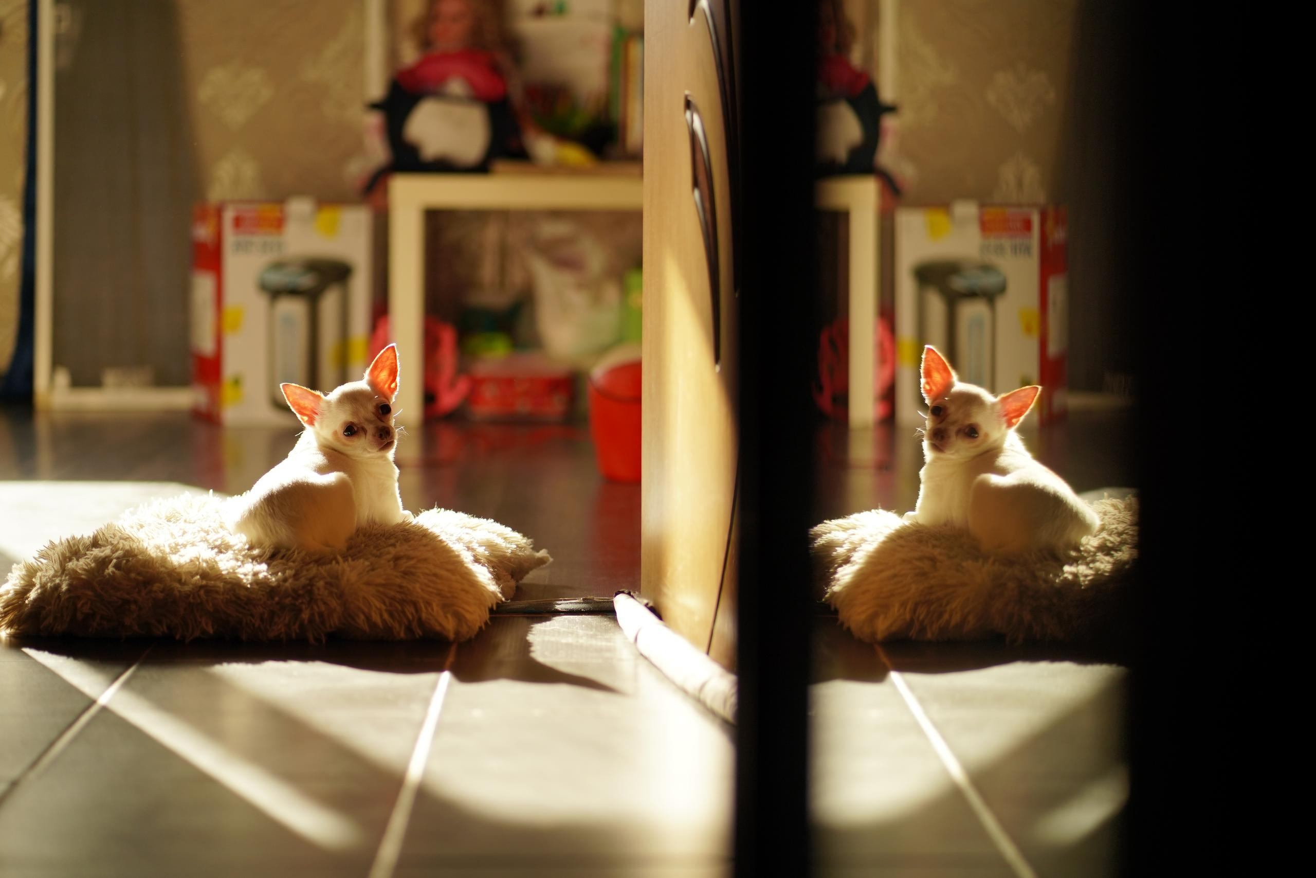 На карантине 2020. Семейный и свадебный фотограф в Москве Нина Гусева