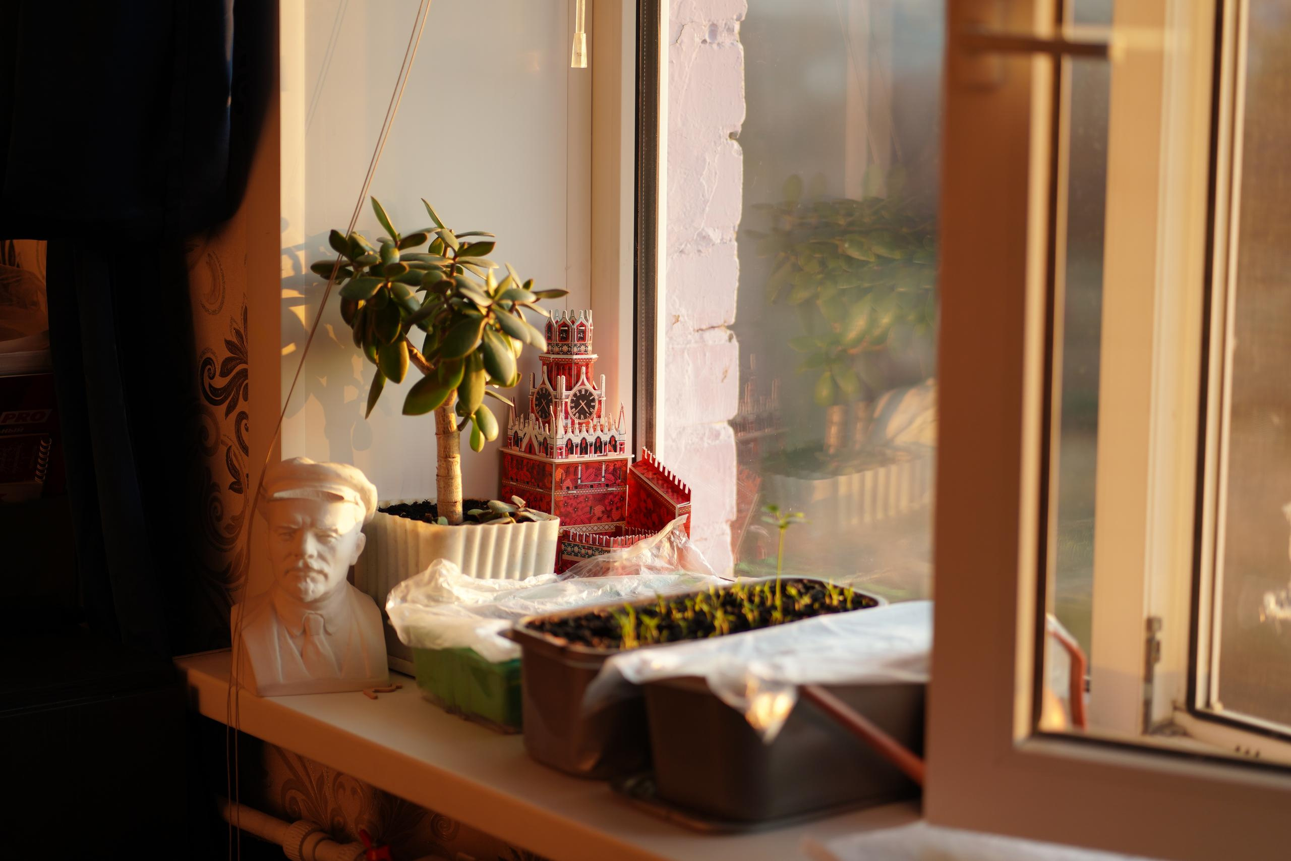 На карантине 2020. Семейный и свадебный фотограф в Москве Нина Гусева