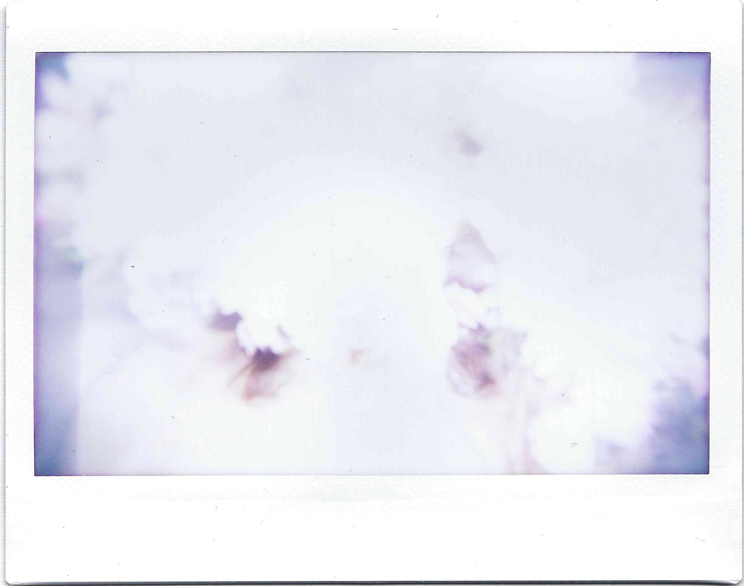 Полароиды. Катерина Эделева