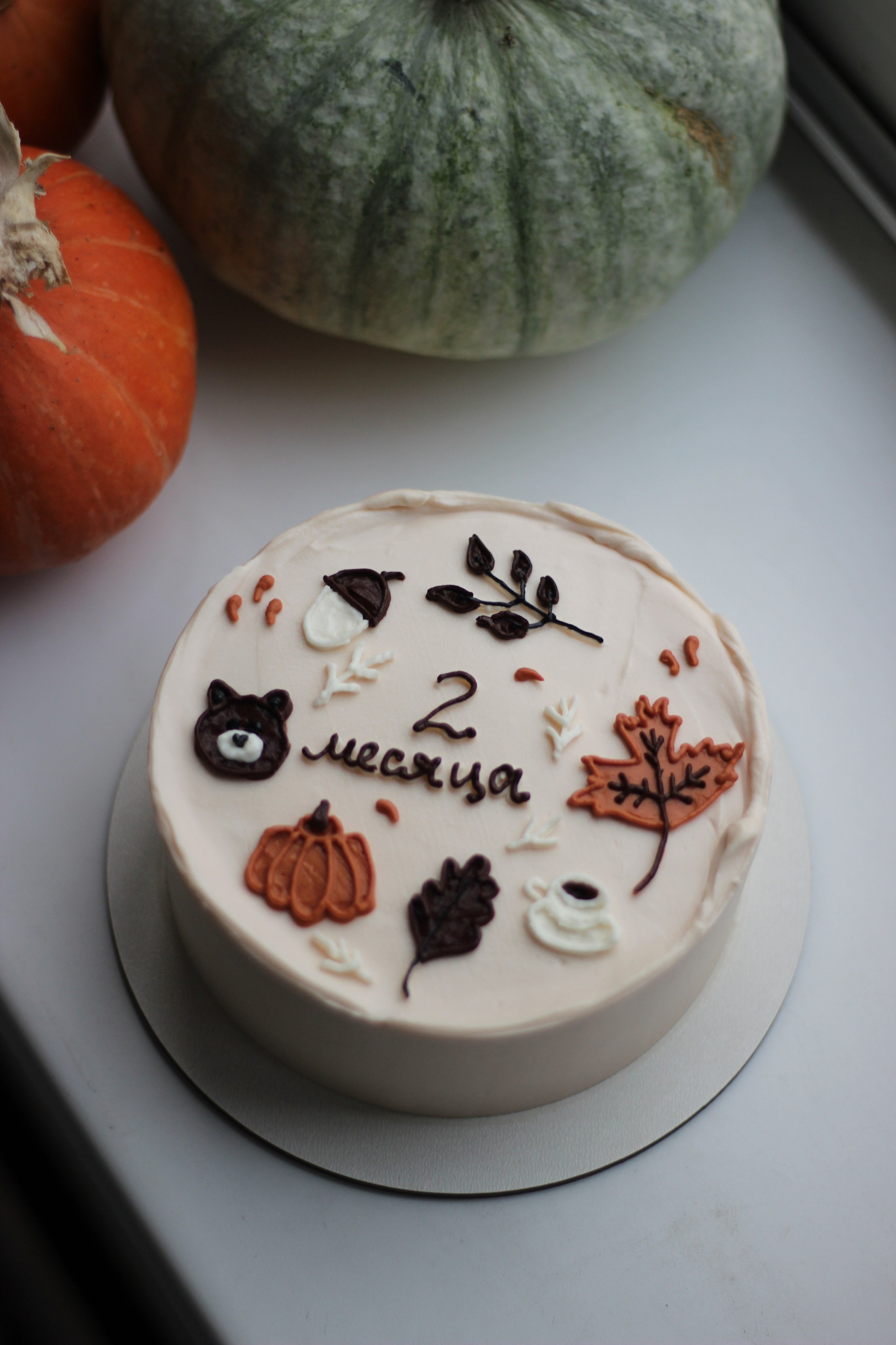 Бенто-торты. Семейная кондитерская. Торты и десерты на заказ в Москве и области