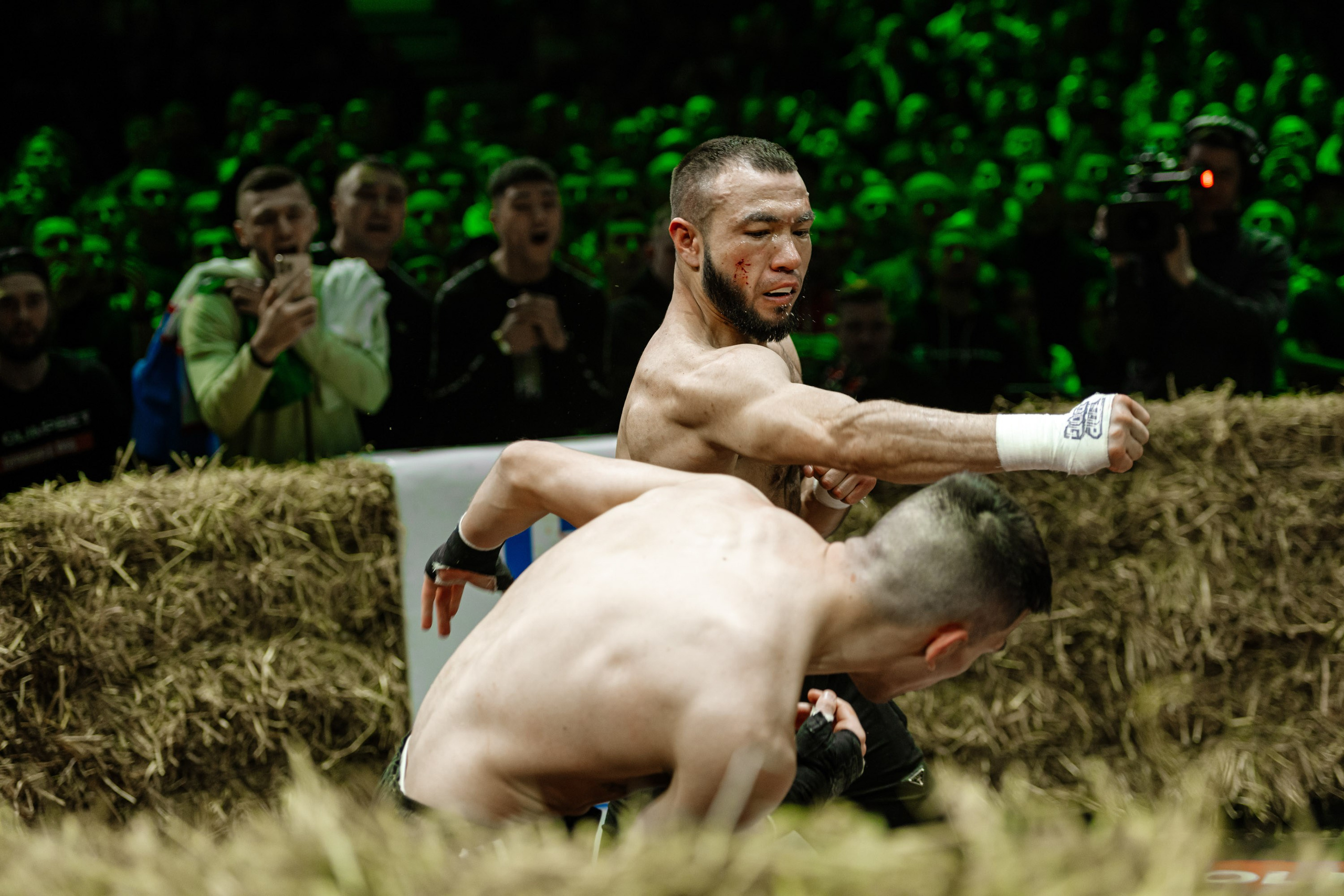 TOP DOG. Максим Комаров — Профессиональный фотограф