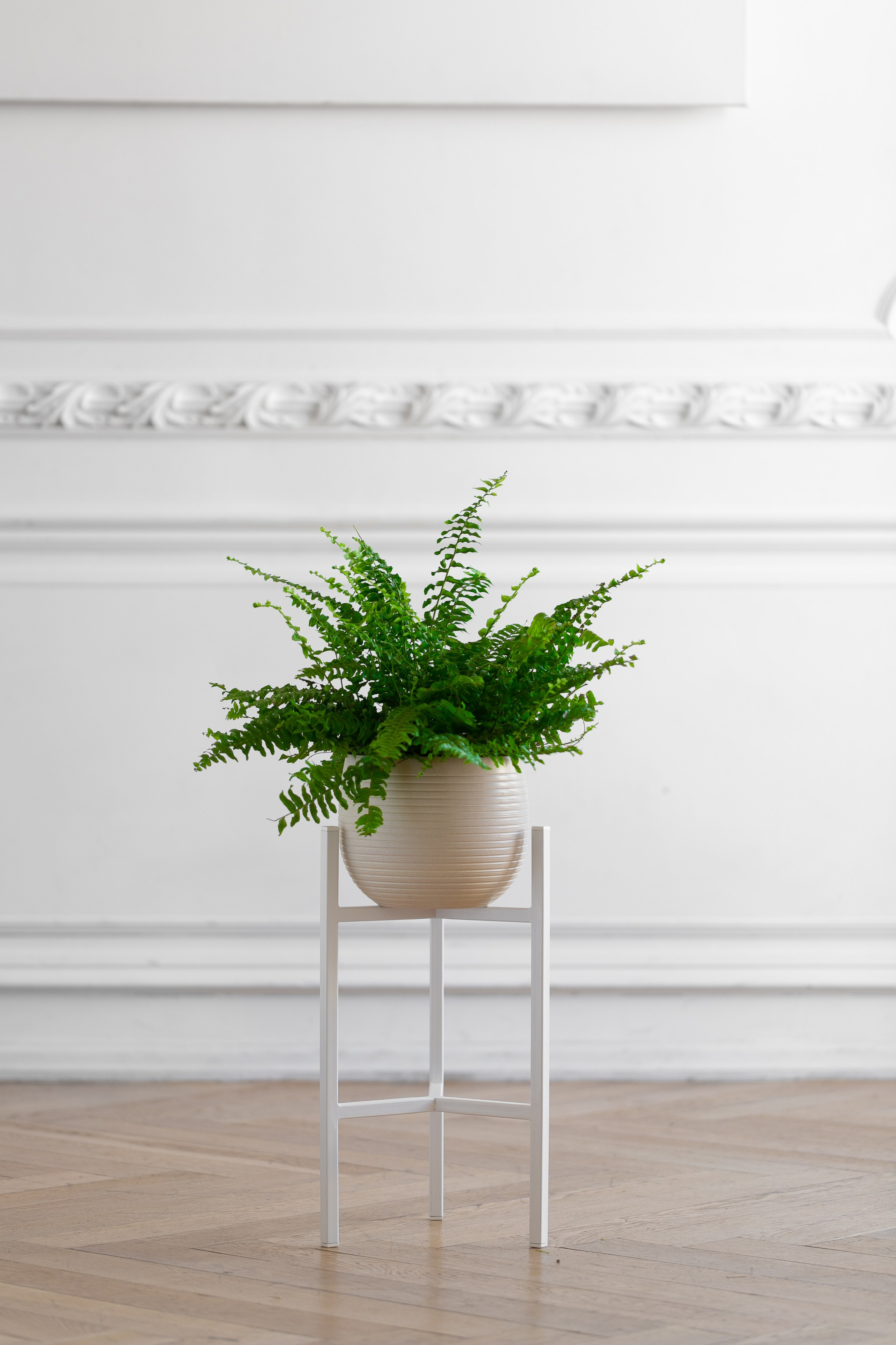 GREENWEEN. Дизайнерская мебель. Интерьерный фотограф и видеограф в Санкт-Петербурге Вадим Балбашевский