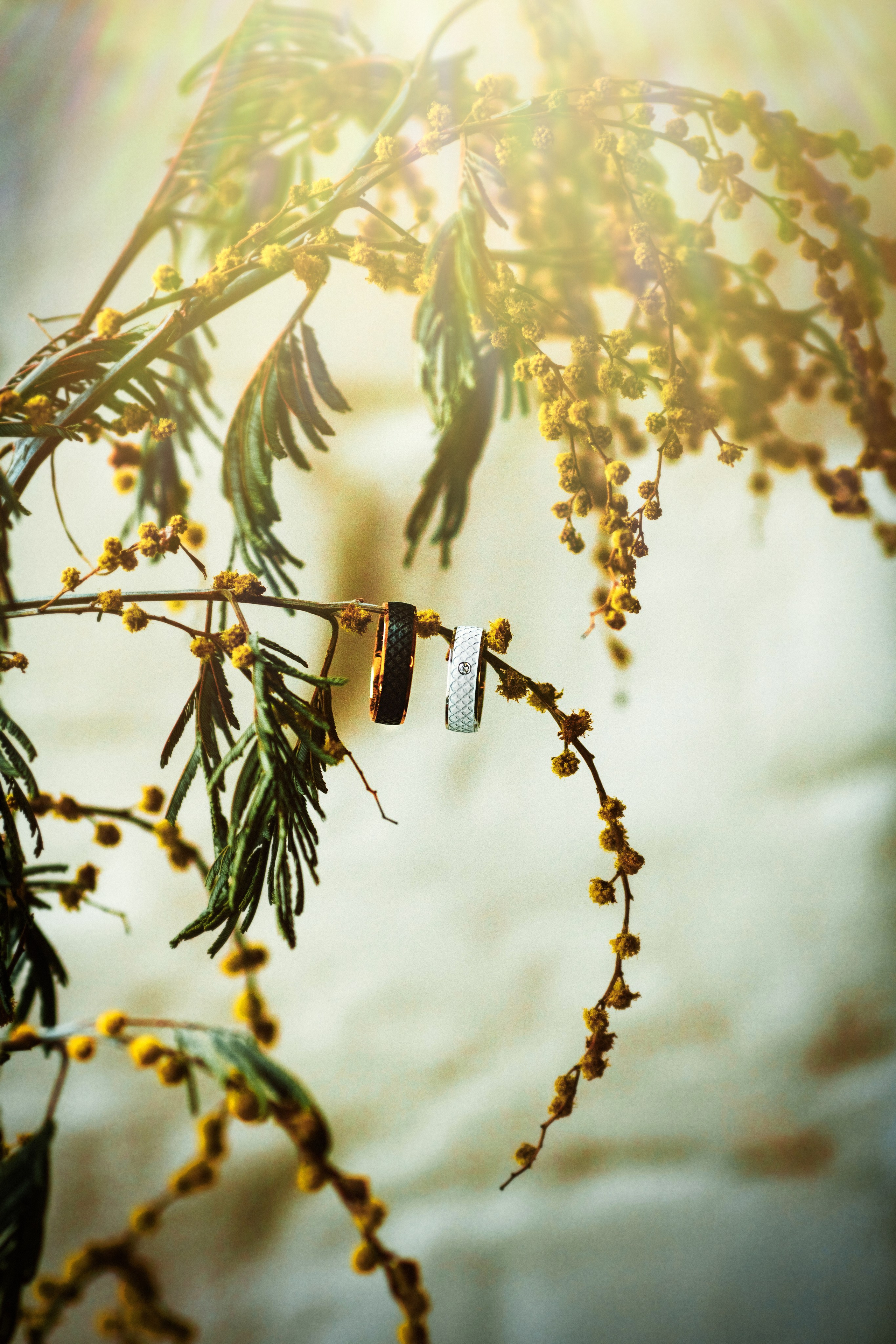 Любить в Смоленске. Свадебный фотограф в Смоленске Анна Казакова. Свадебные фотосессии, лавстори (Love Story) и выездные съемки по всей России