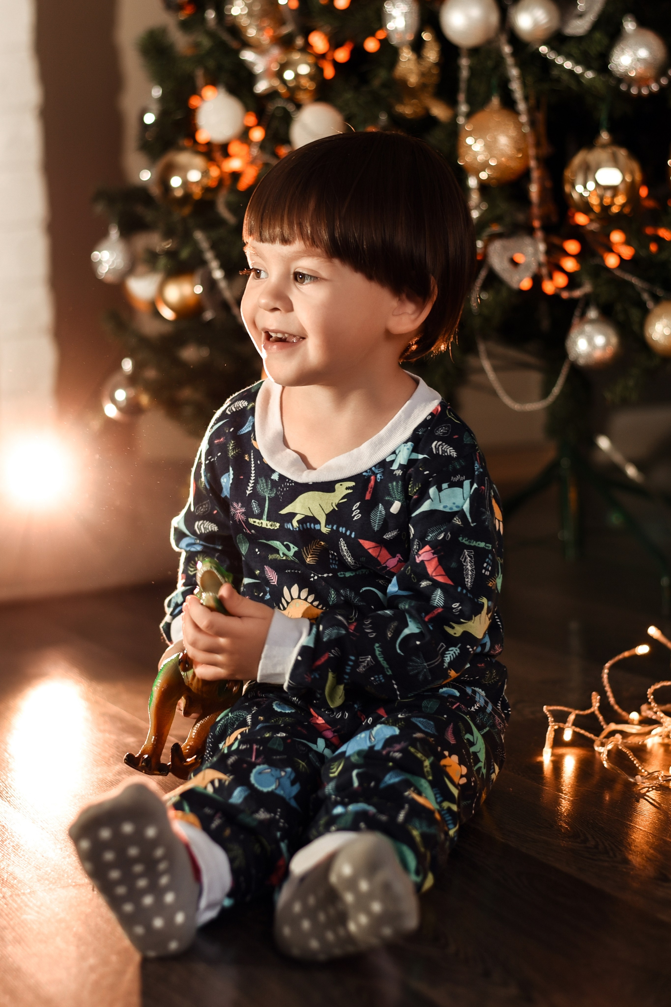 Домашняя новогодняя. Свадебный, семейный, детский, контент фотограф в Омске Максим Ильин