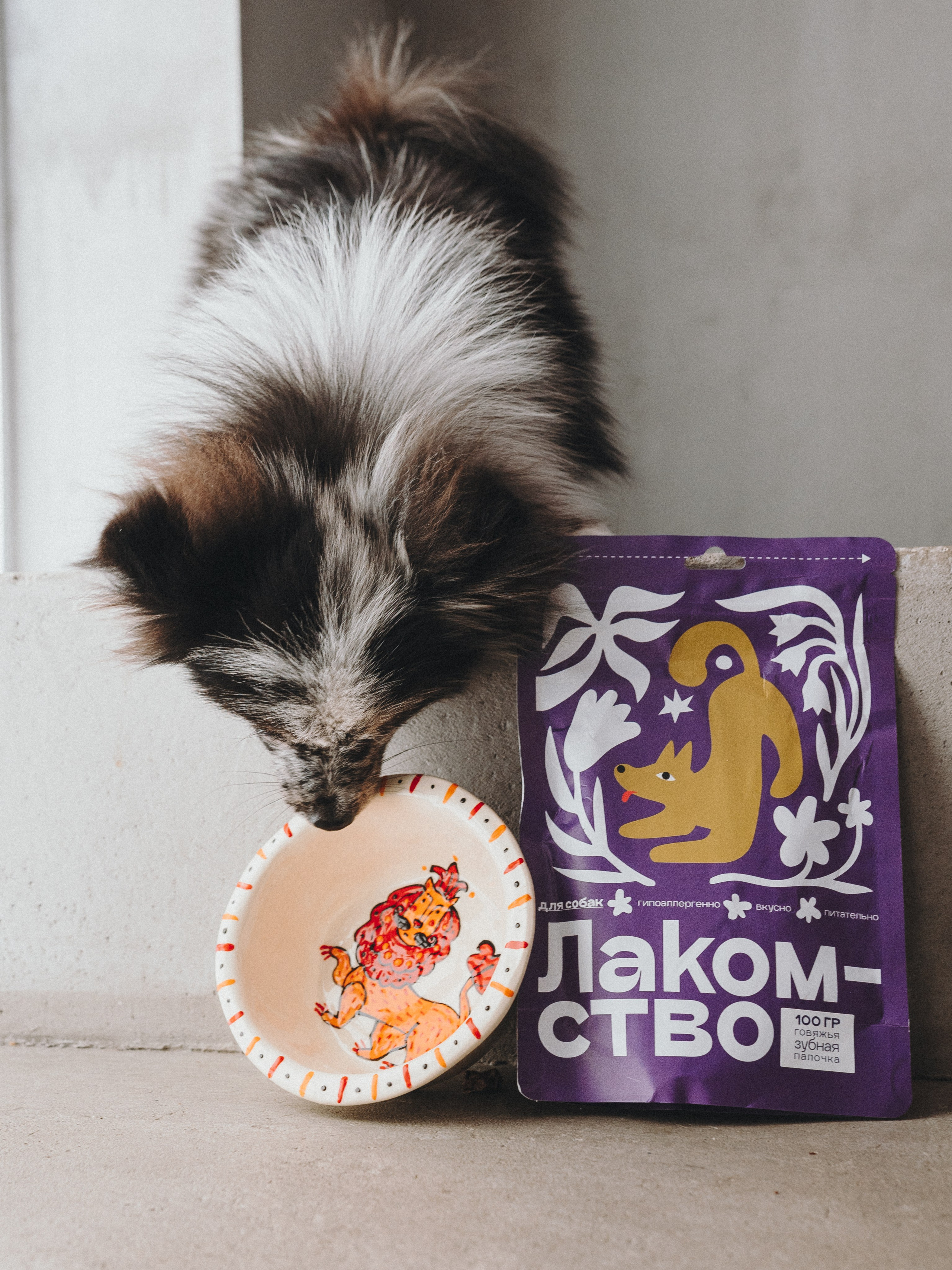 Cosmodog. Миски и лакомства. Семейный фотограф анималист Ананьева Мария — Москва