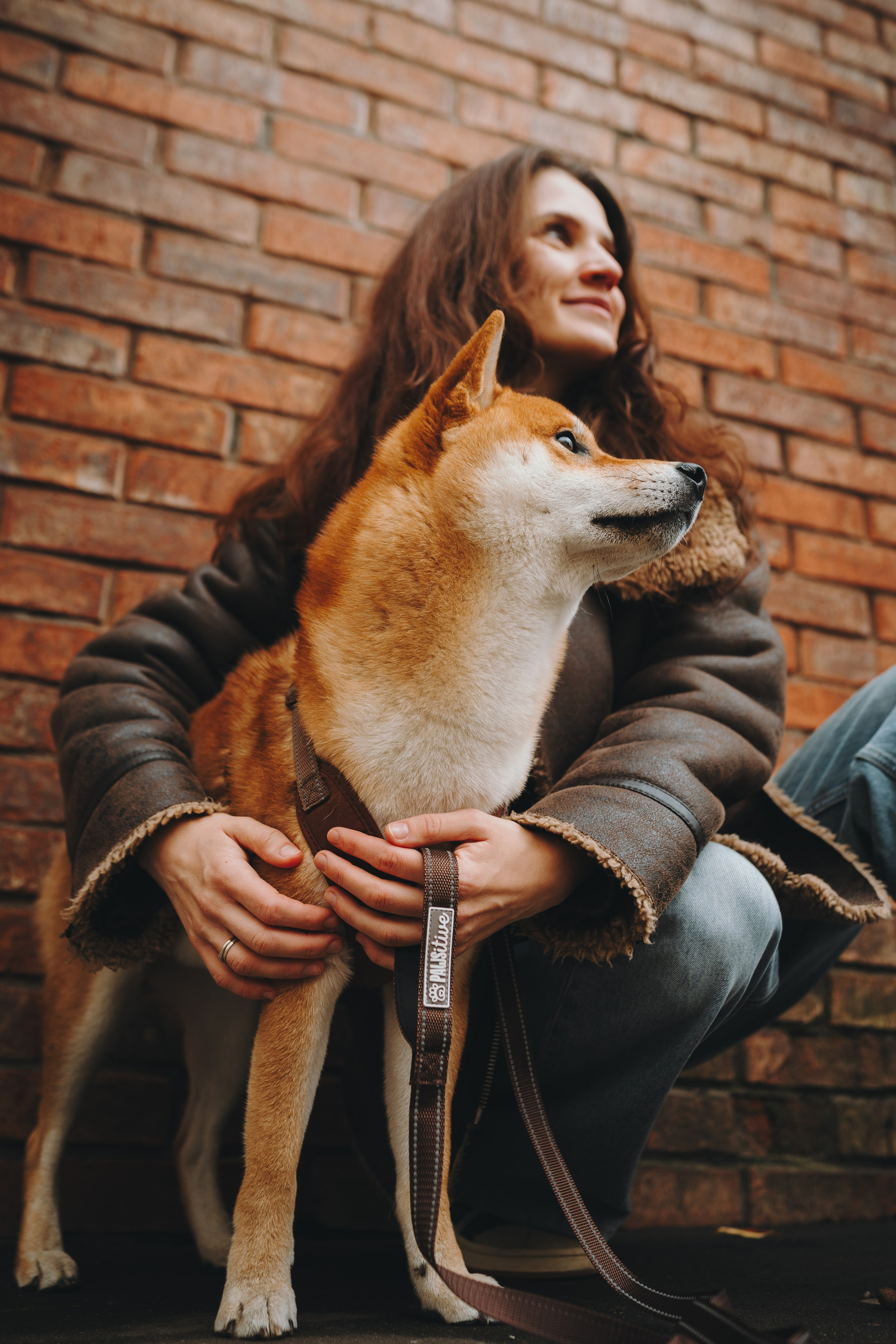 Pawsitive. Семейный фотограф анималист Ананьева Мария — Москва