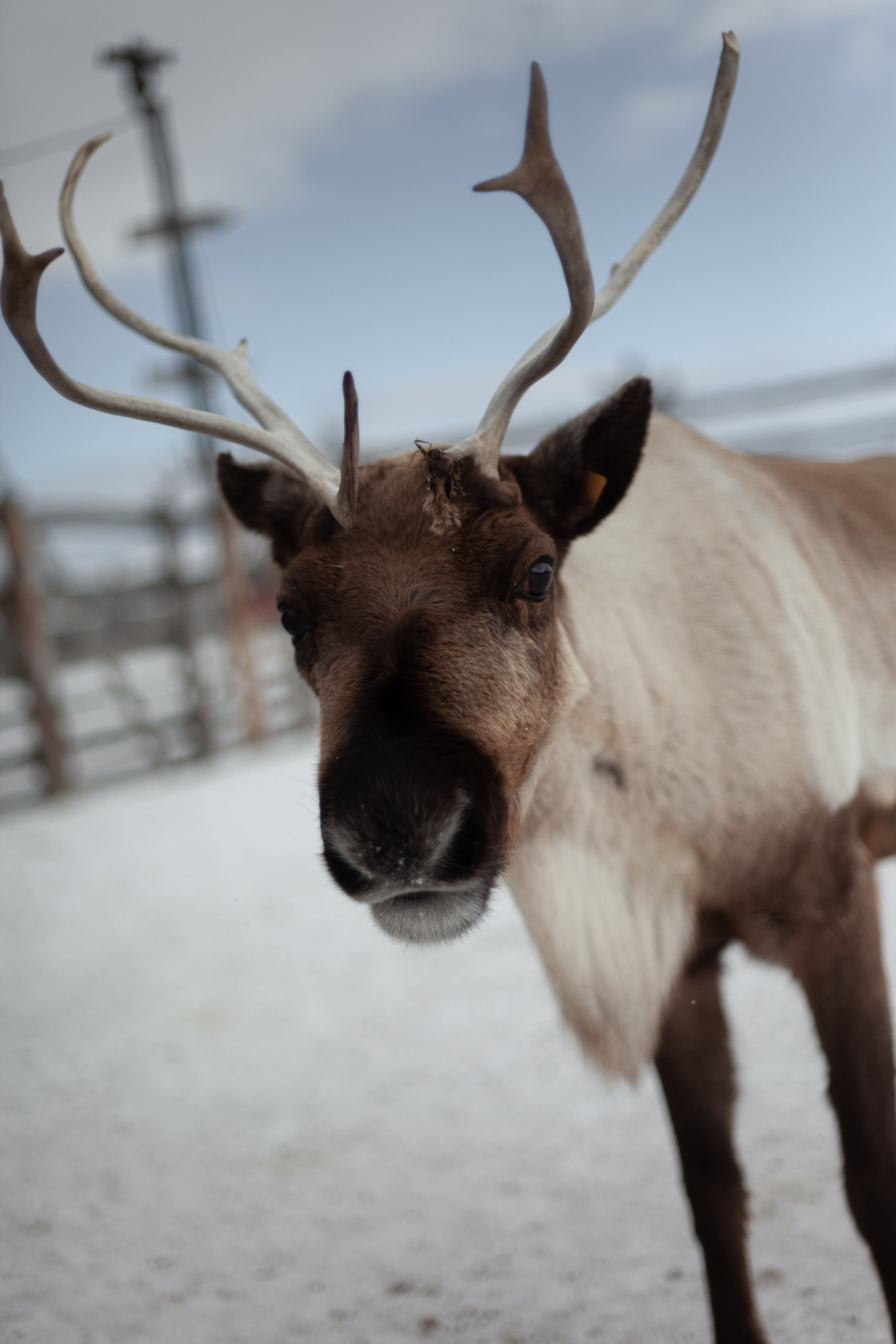 Путешествие по Териберке. Северное сияние. Уникальные экспедиции — LUCKY CLAN