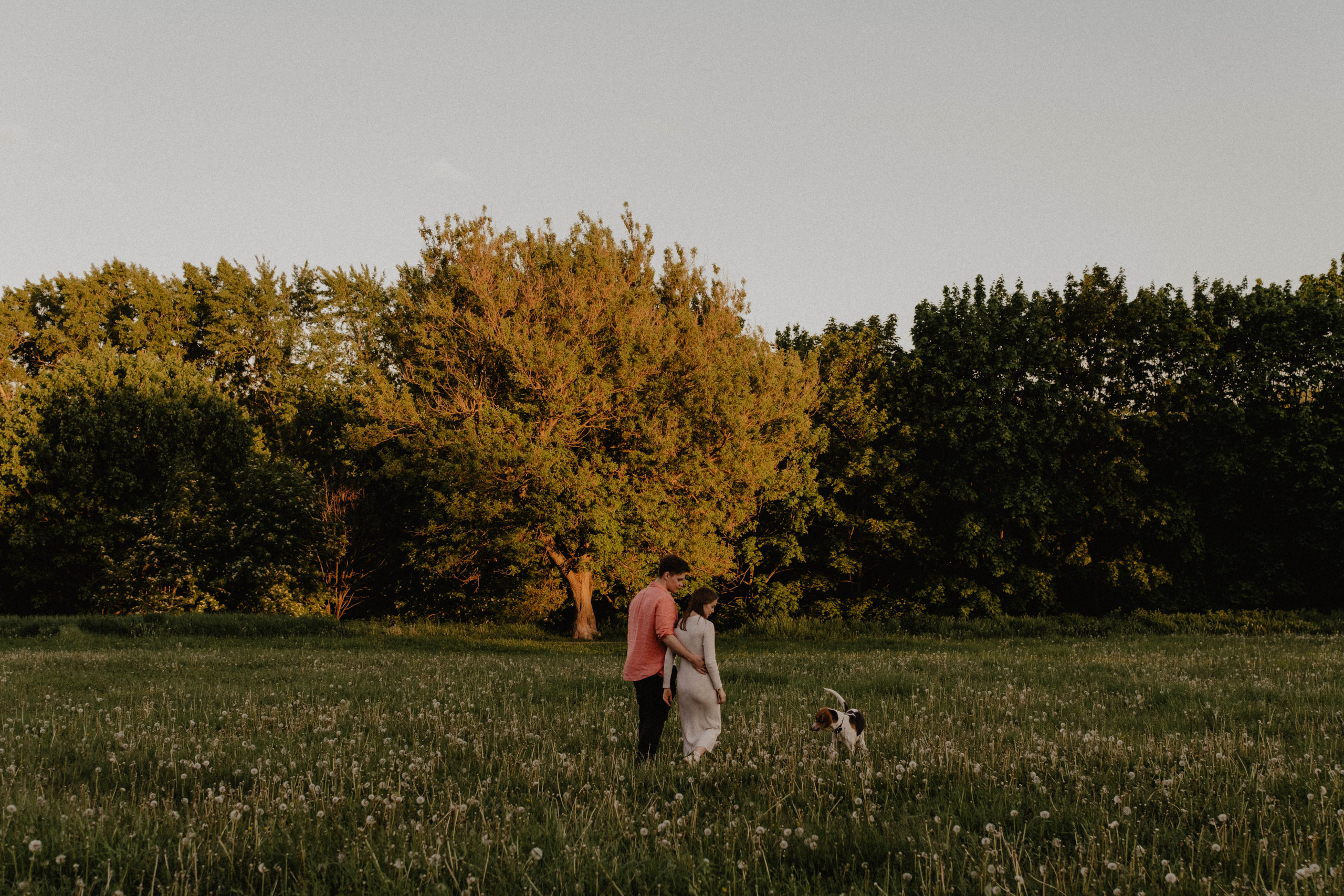 Алиса и Антон. Свадебный фотограф Оля Григунова