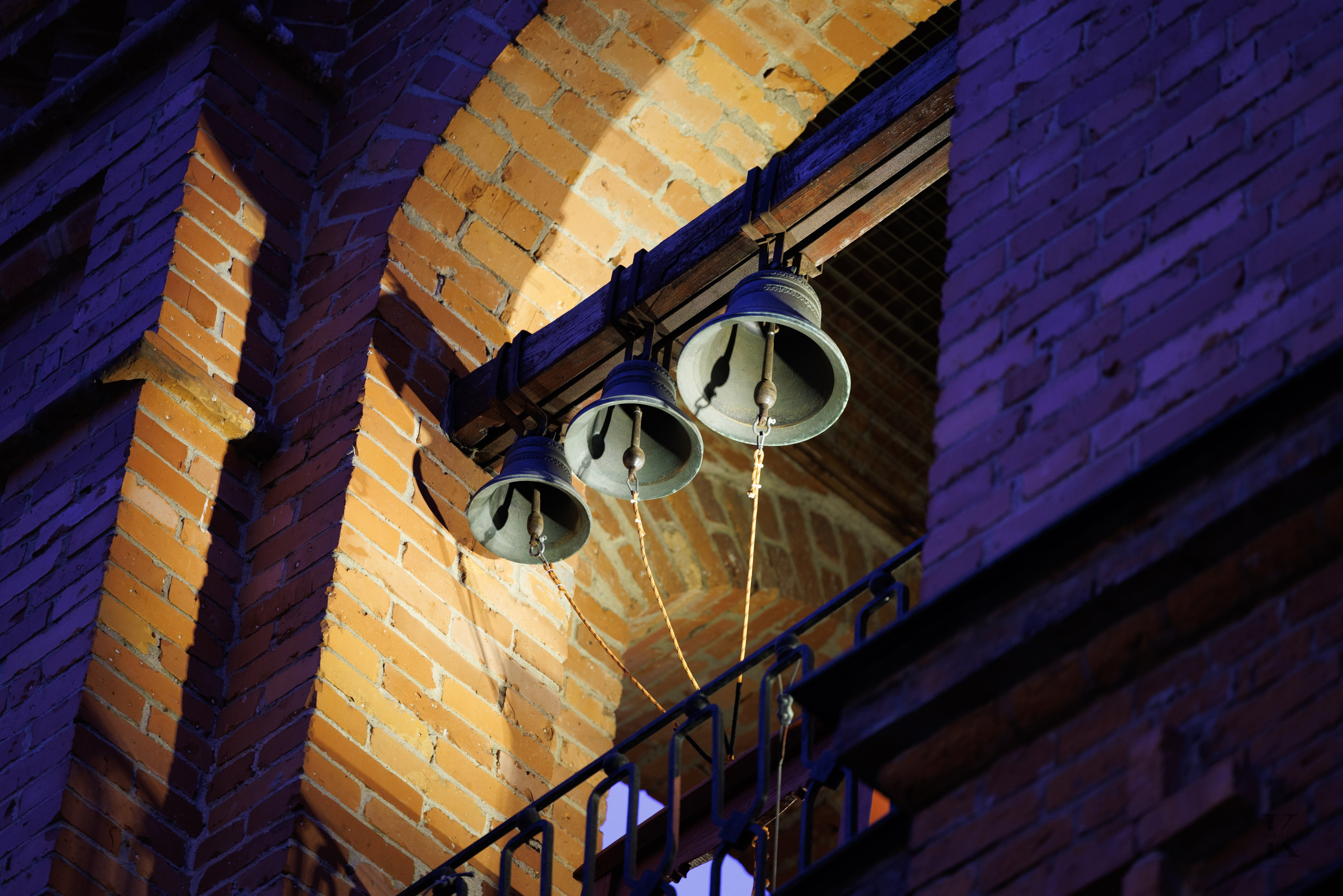 Весна в Савеловском 2026. Фотографирую жизнь! Московский фотограф волонтер