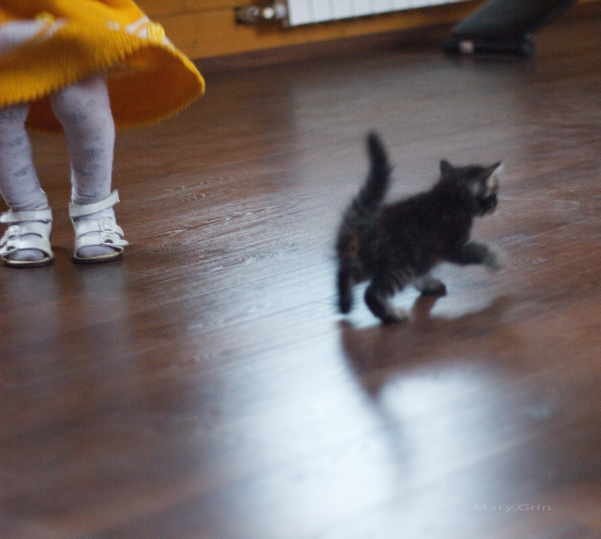 Домашняя фотосессия у двух сестёр. Детский и семейный фотограф, фотограф мероприятий Нижний Новгород