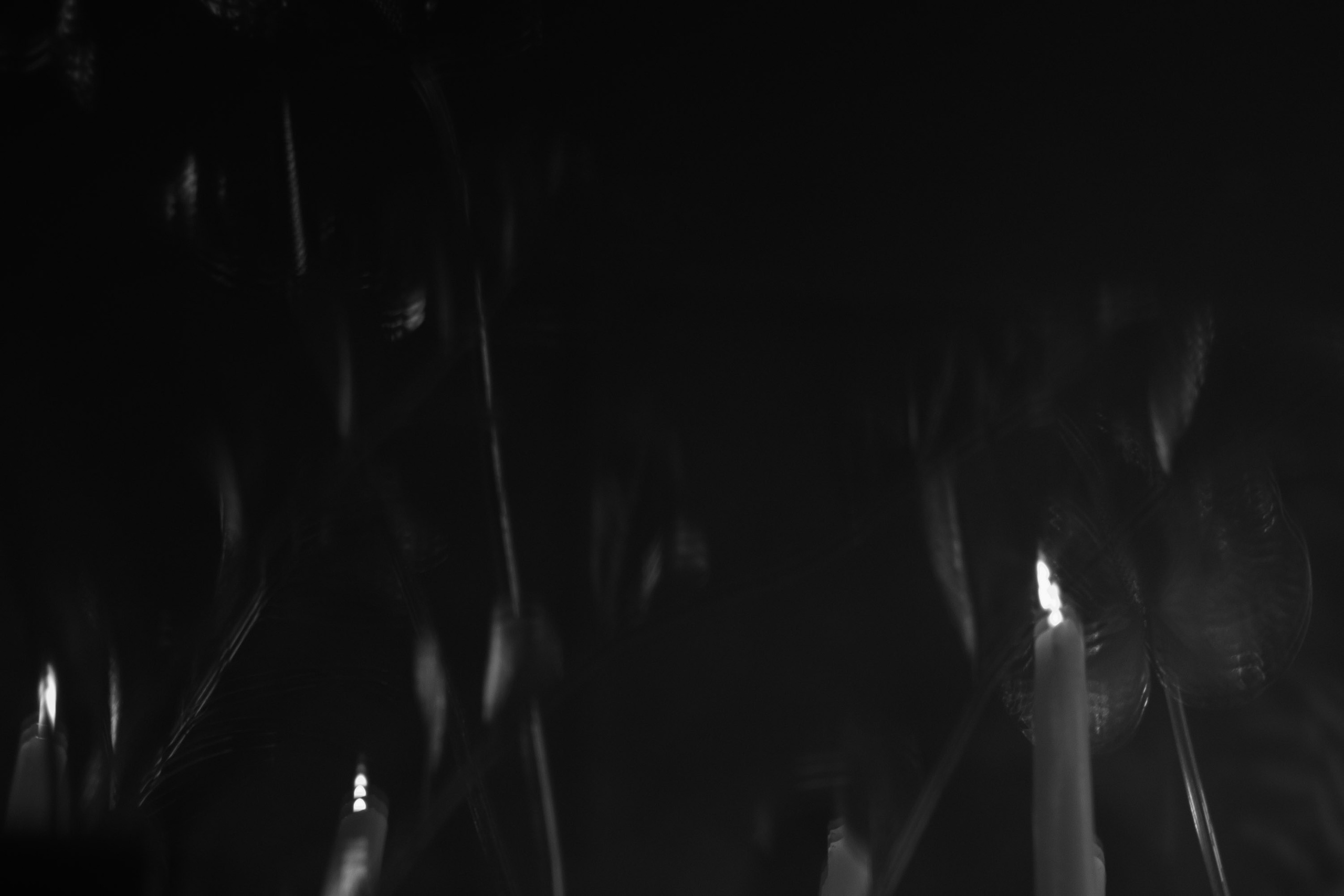 Валерия & Алексей. Оформление свадеб, декор свадеб Вера Маркова, Москва