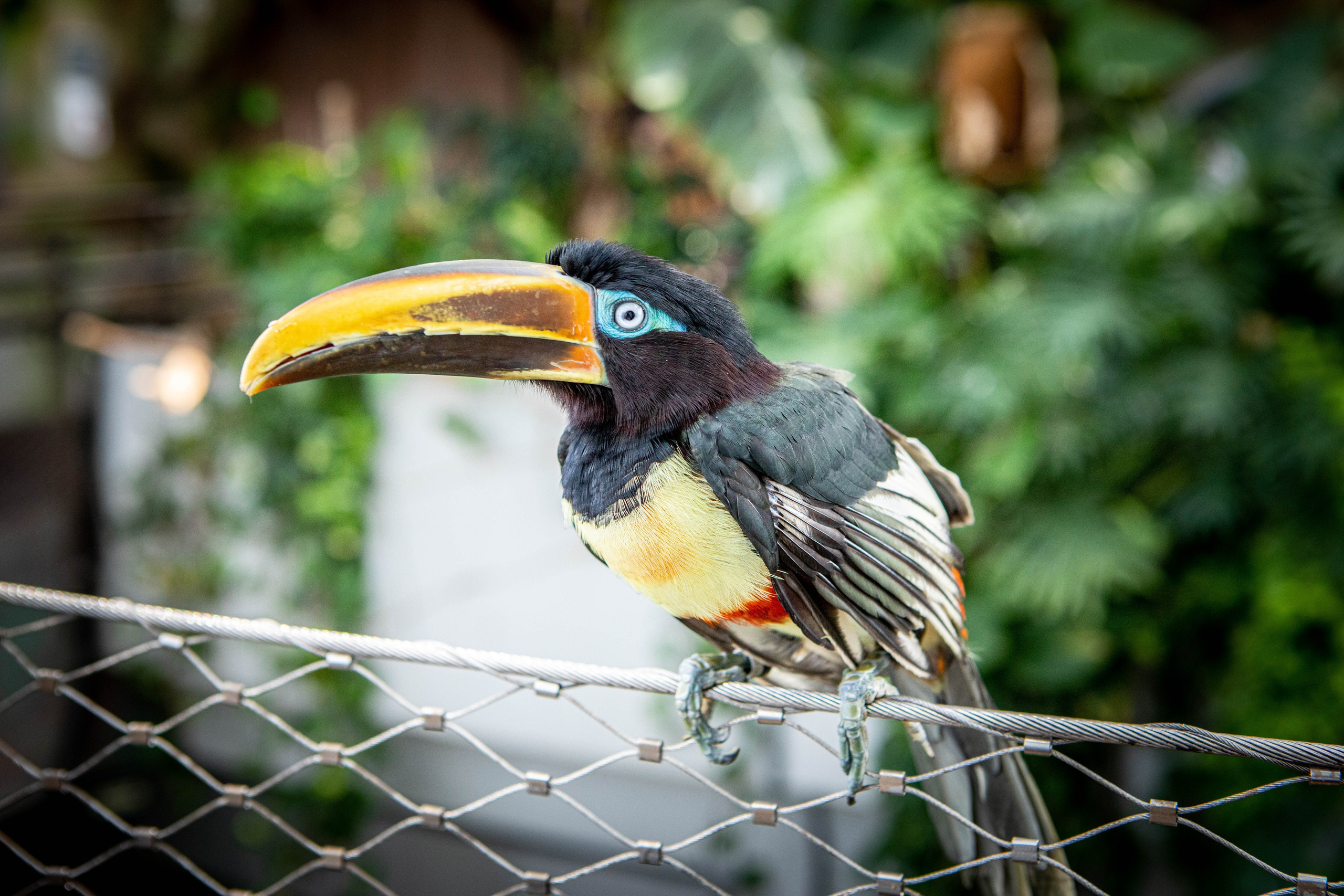 Дубай. Фотография, ретушь, сканирование, восстановление старых фото, интерьерная съёмка, студия. Данилов Александр, Москва