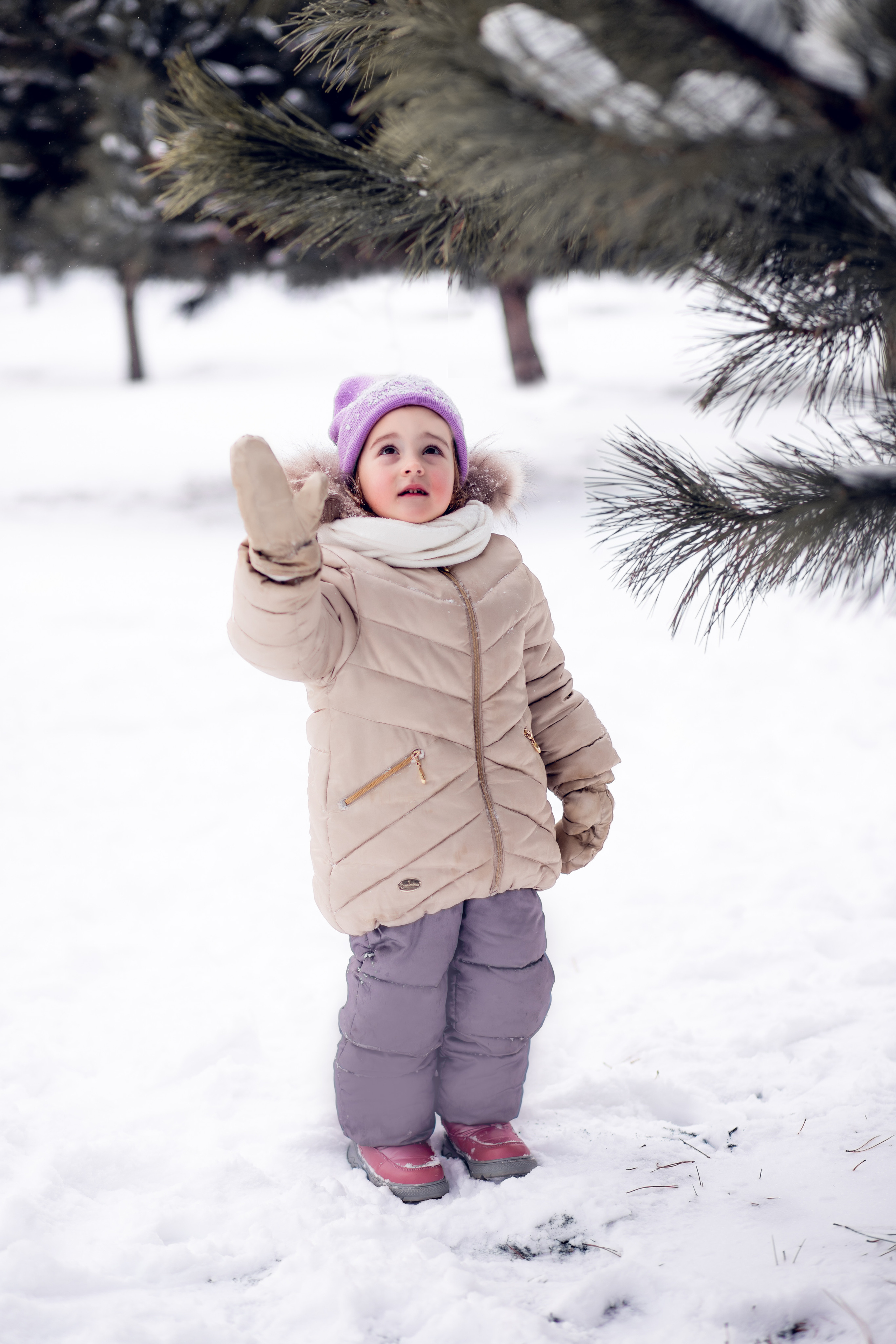 Мирра и Фокс. Семейный и детский фотограф в Краснодаре Катя Гор