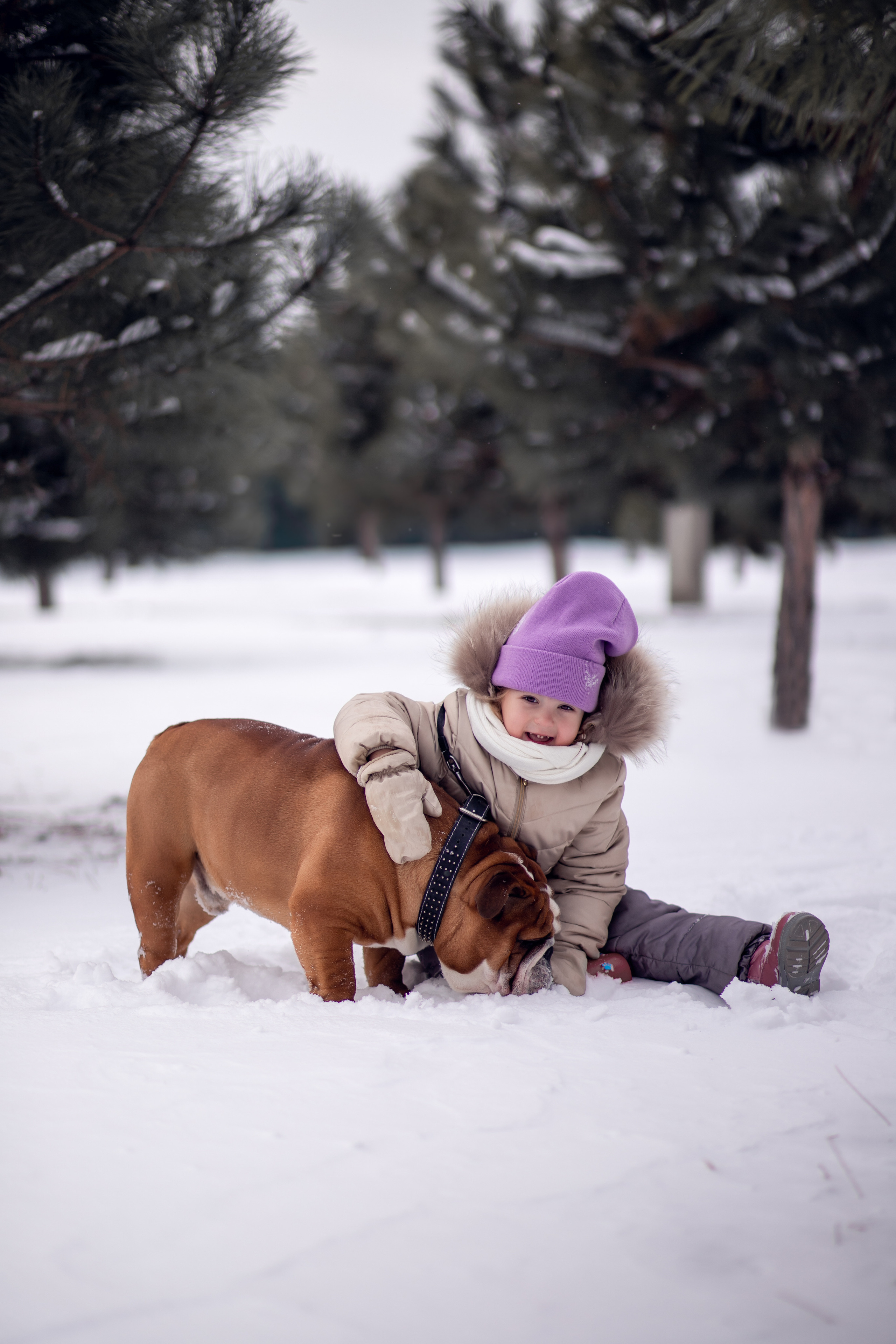 Мирра и Фокс. Семейный и детский фотограф в Краснодаре Катя Гор