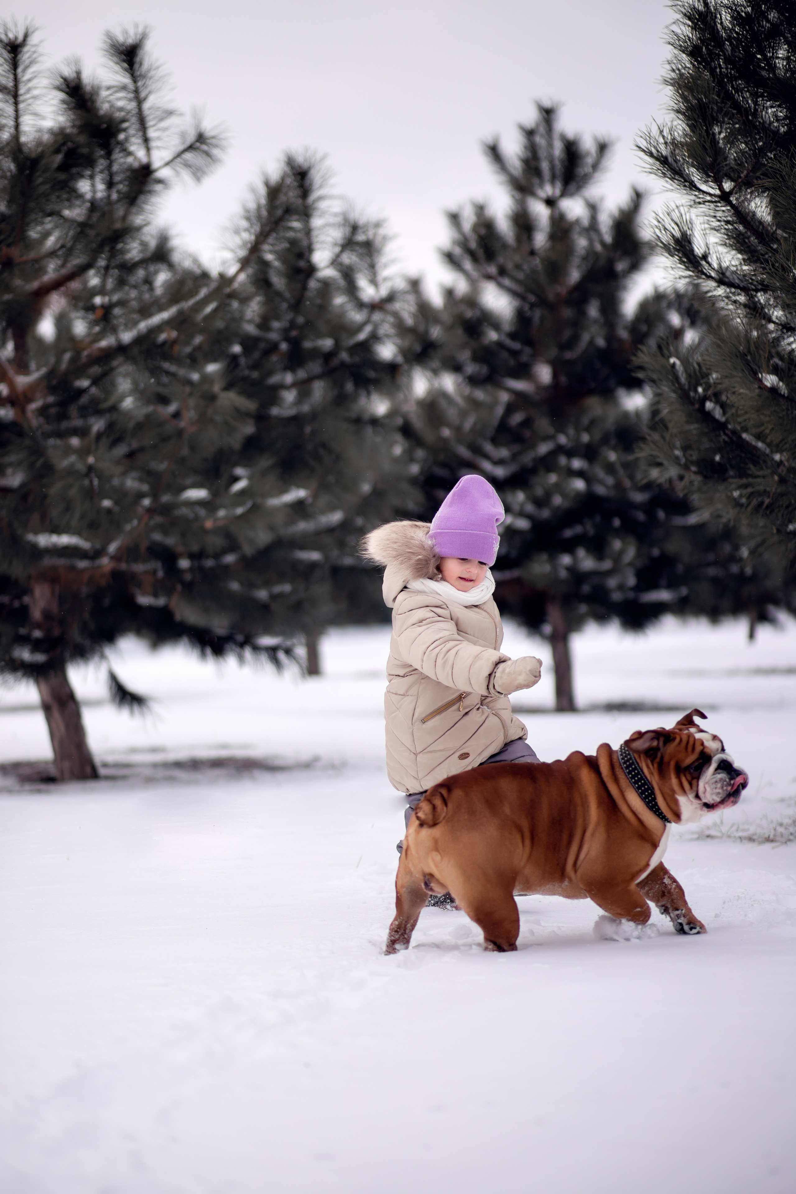 Мирра и Фокс. Семейный и детский фотограф в Краснодаре Катя Гор