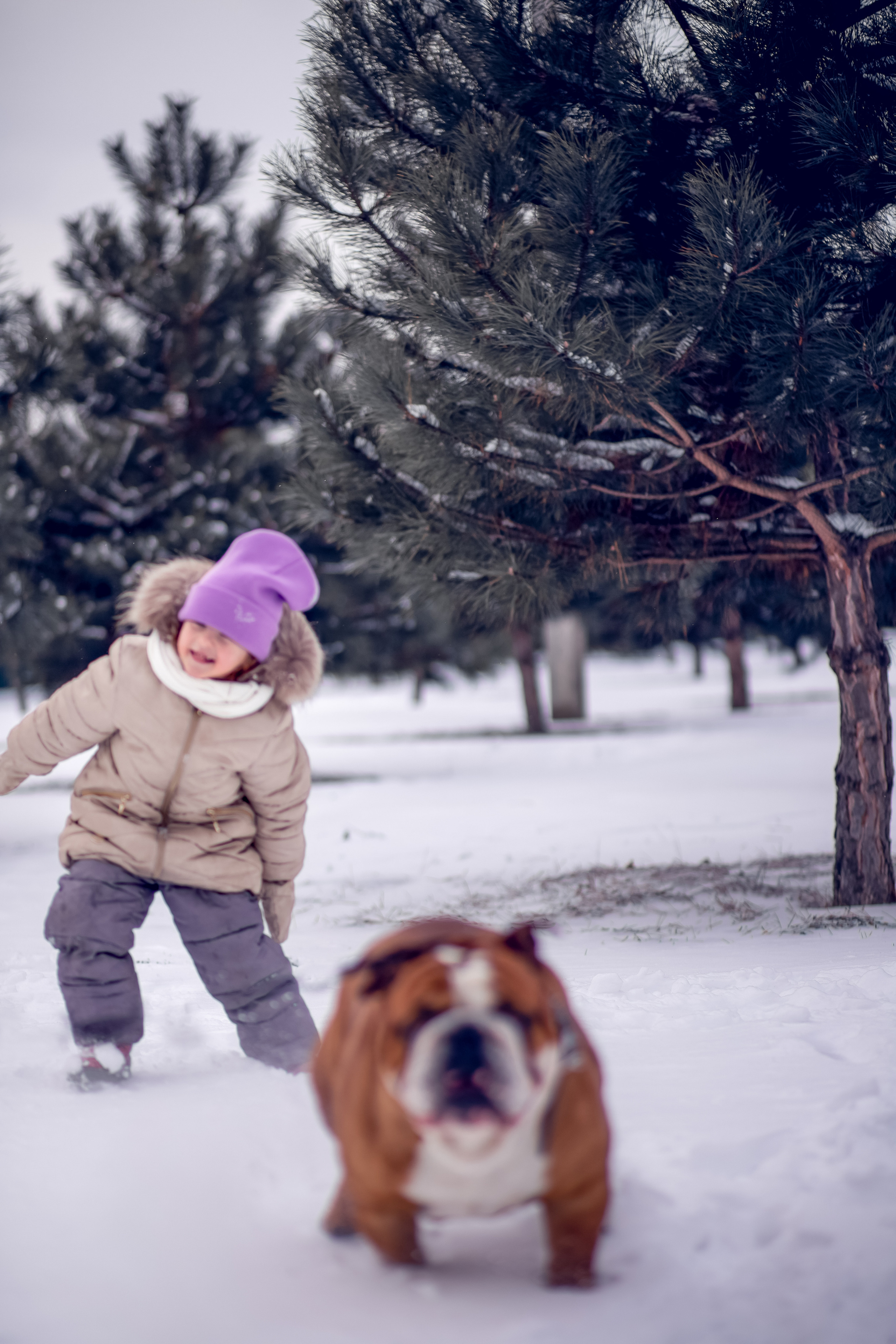 Мирра и Фокс. Семейный и детский фотограф в Краснодаре Катя Гор