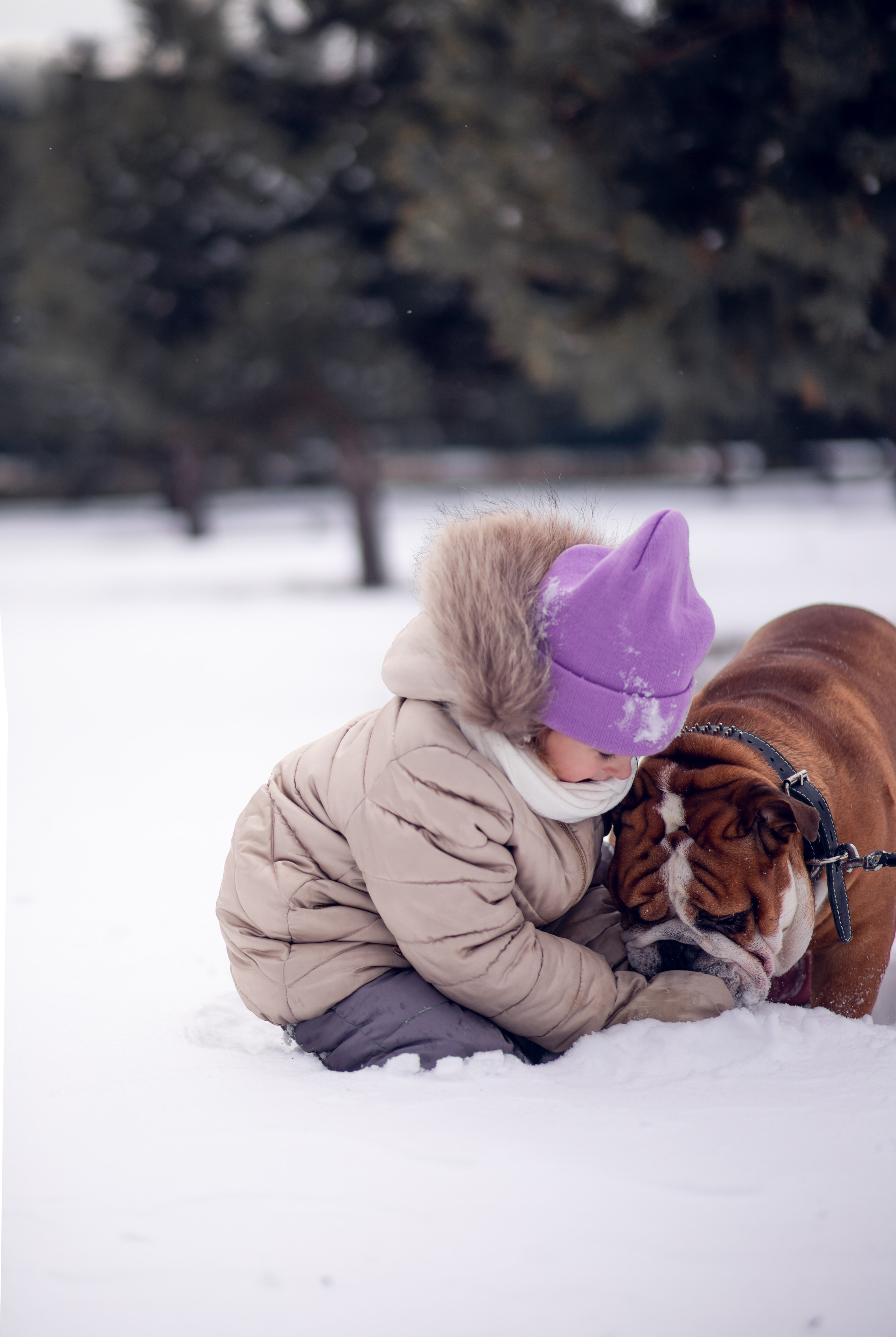 Мирра и Фокс. Семейный и детский фотограф в Краснодаре Катя Гор
