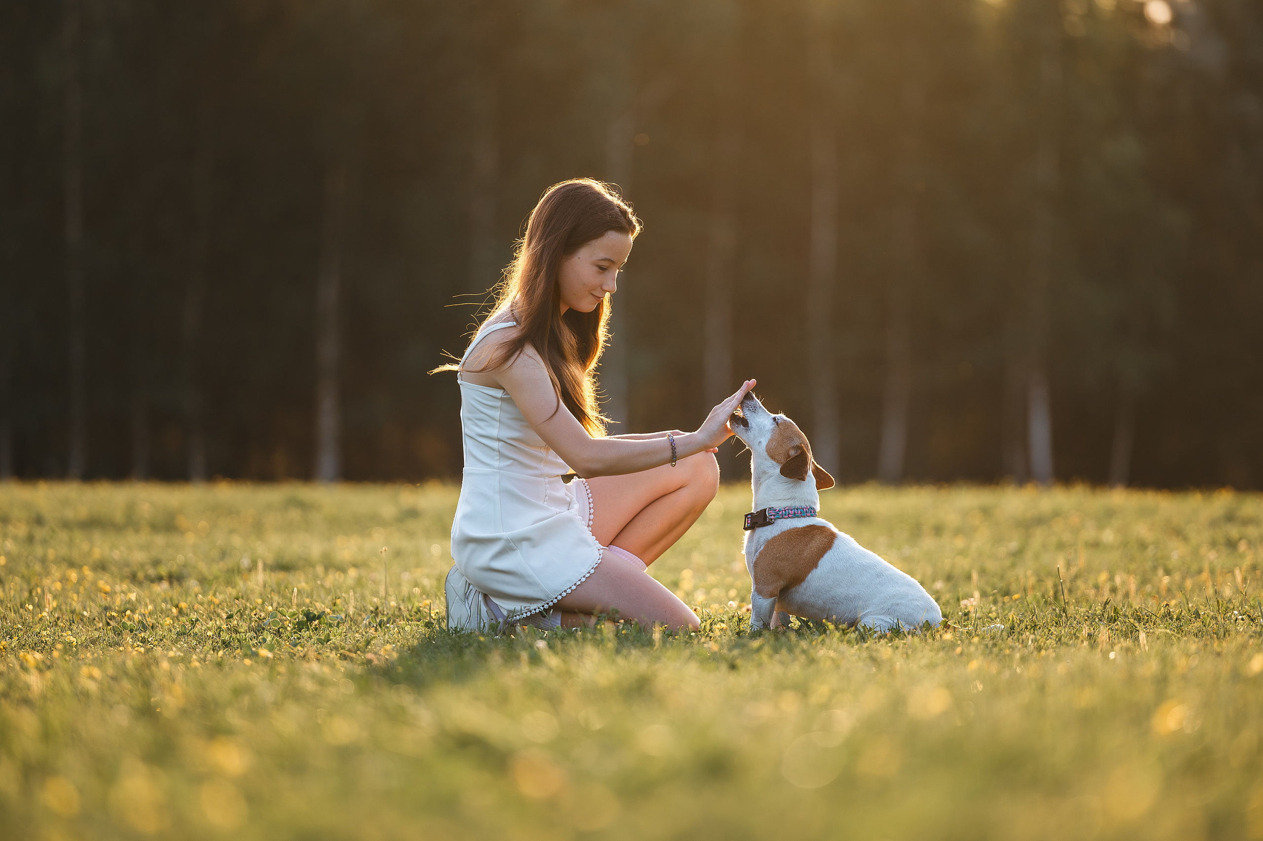 Юлиана и Риф (в обработке). Фотограф Анималист в Москве Анастасия Жучкова