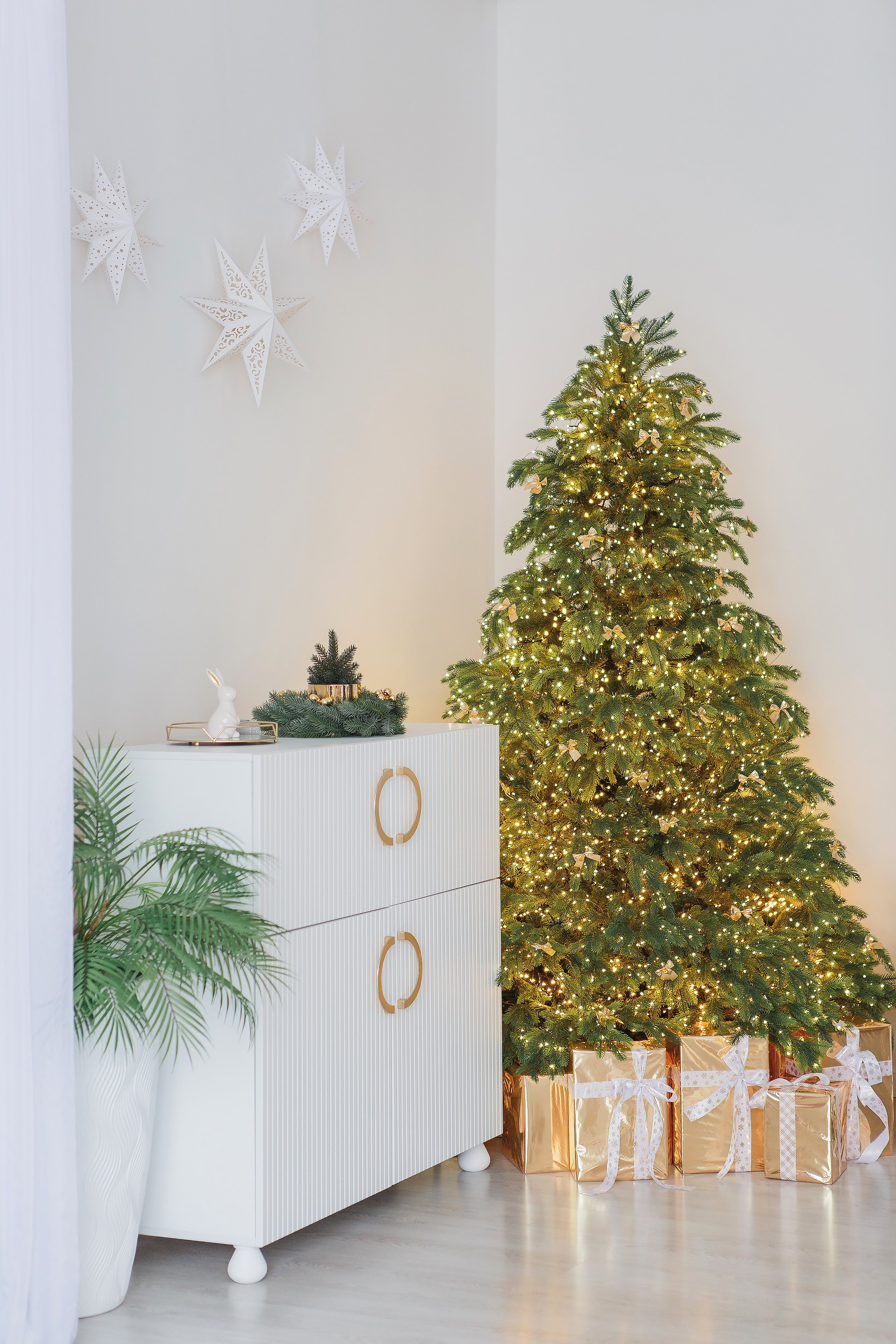 Смузи — зал Контент (циклорама и зона с елкой) Изумрудные Холмы. Семейный и детский фотограф в Москве и МО — Александра