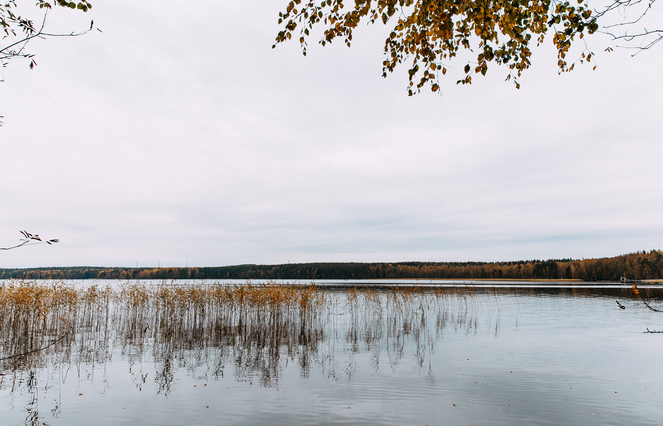 Стас и Иви. Цыганское бохо. Аутентичная свадьба. Свадебный фотограф Сочи Елена Казакова