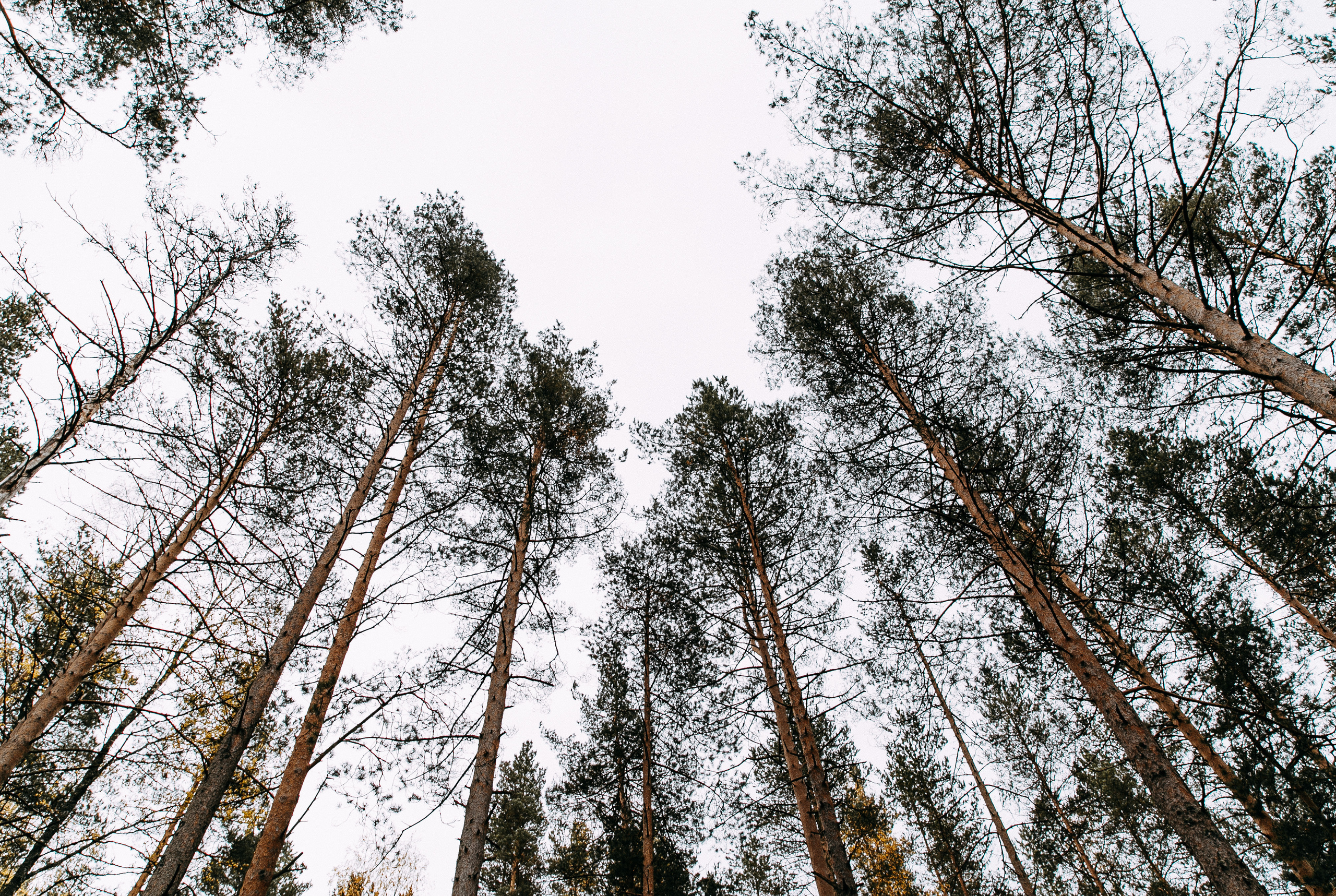 Стас и Иви. Цыганское бохо. Аутентичная свадьба. Свадебный фотограф Сочи Елена Казакова