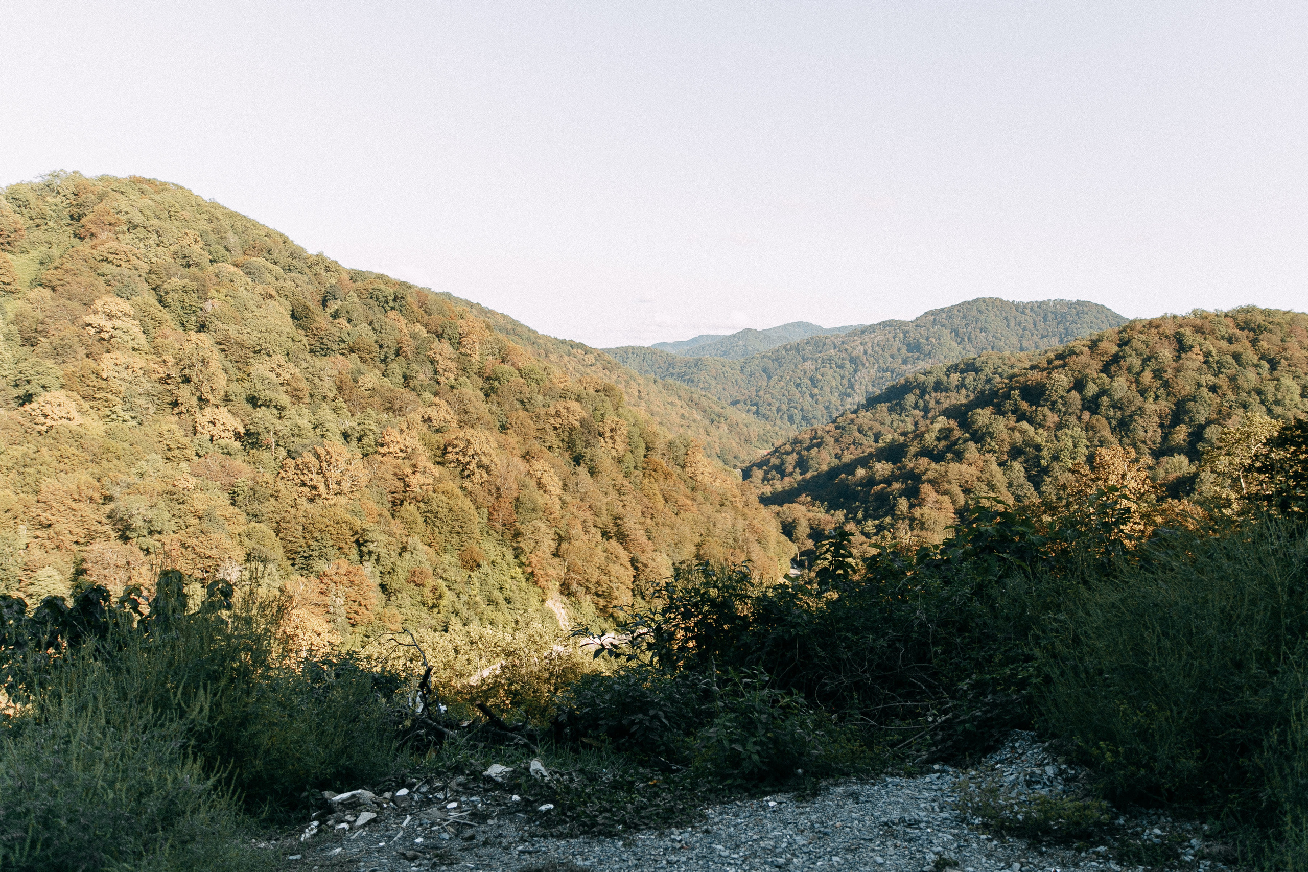 Никита и Тамара. Свадебный фотограф Сочи Елена Казакова