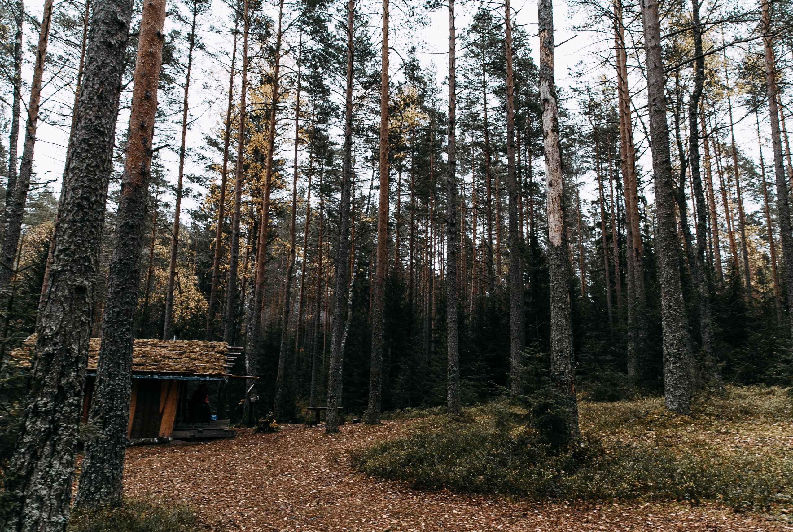 Стас и Иви. Цыганское бохо. Аутентичная свадьба. Свадебный фотограф Сочи Елена Казакова
