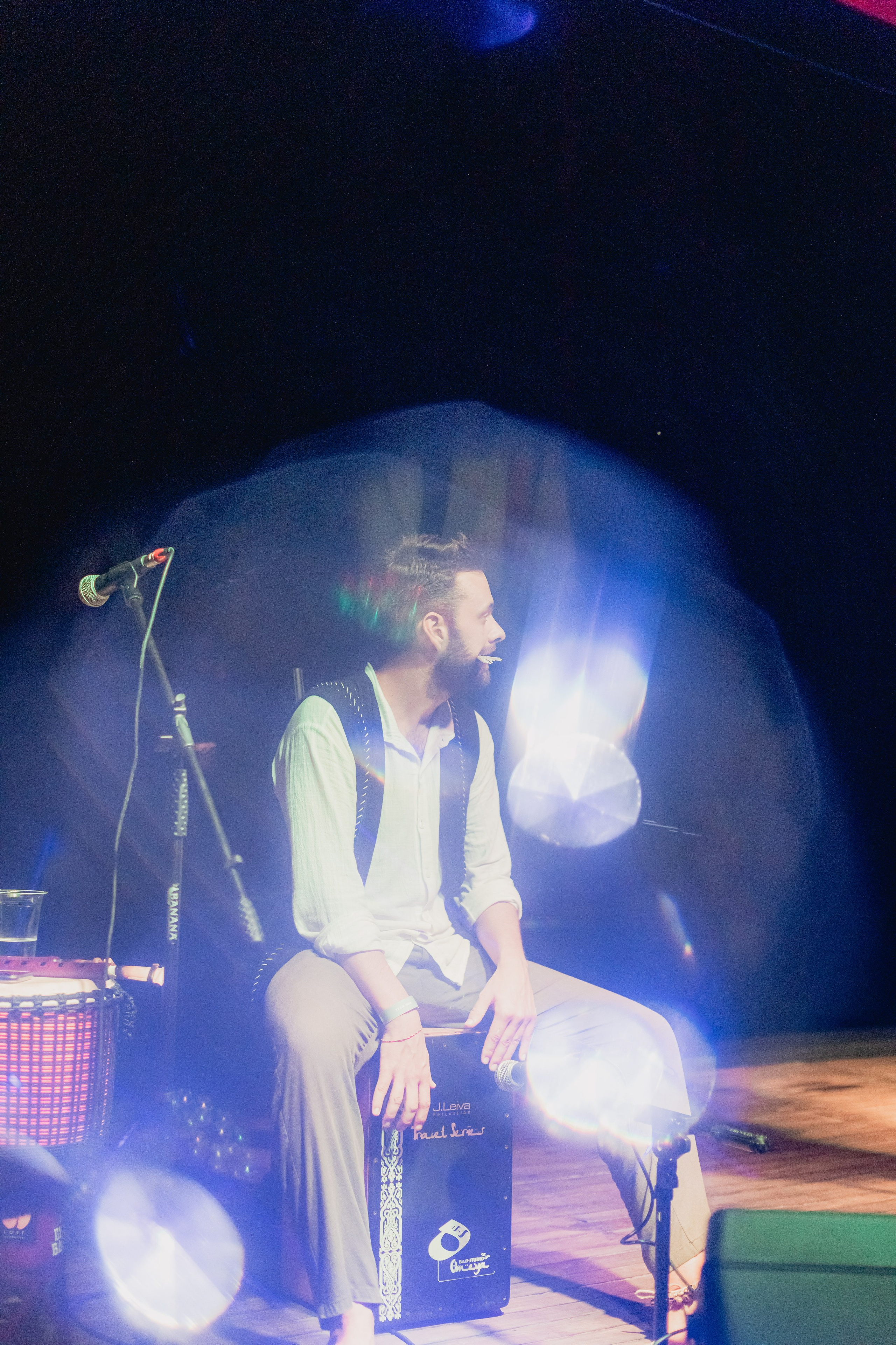 Russian New year. Мариам Багдасарян