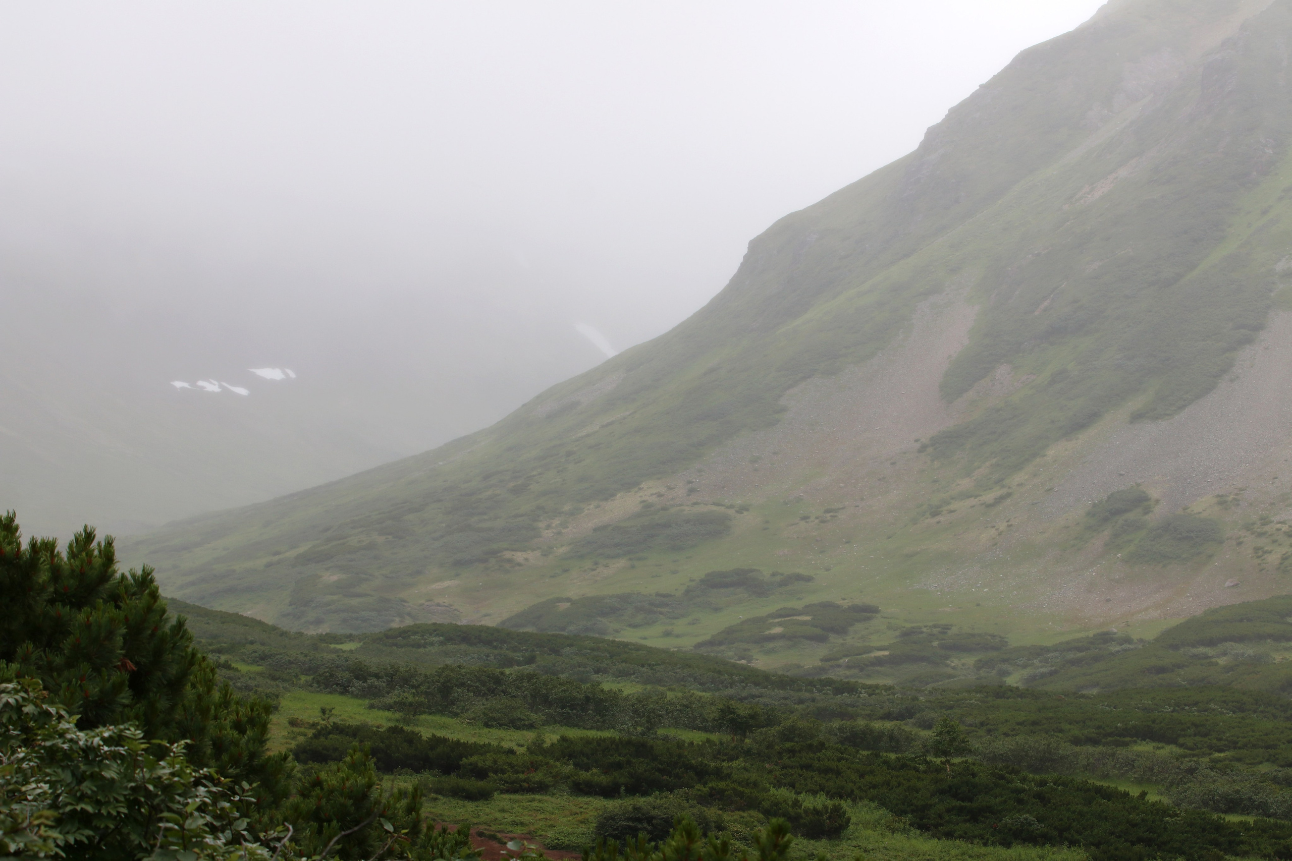 Камчатка и о. Парамушир. Июль 2024. Путешественник-фотограф из Санкт-Петербурга Татьяна Свистулина