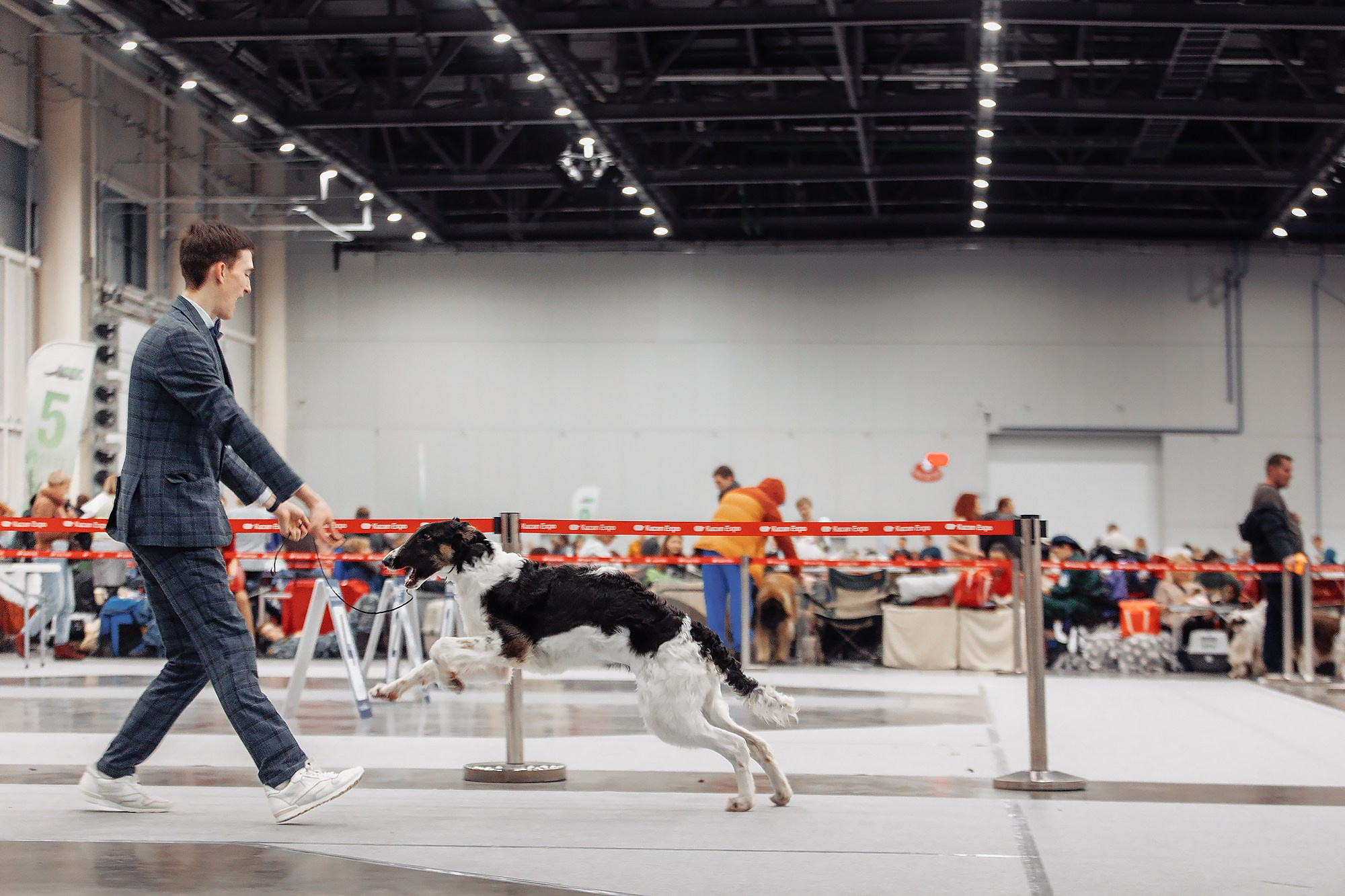 28-29.01.2023 — Казань «Сабанеевка». Фотограф-анималист Саша Вязьмина
