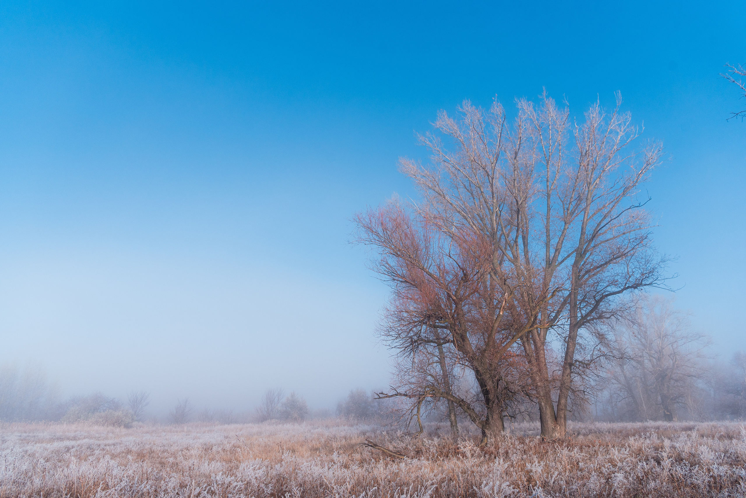 Фотографии утреннего тумана под Волжским. Фотограф в Волгограде и Волжском Александр Горбань
