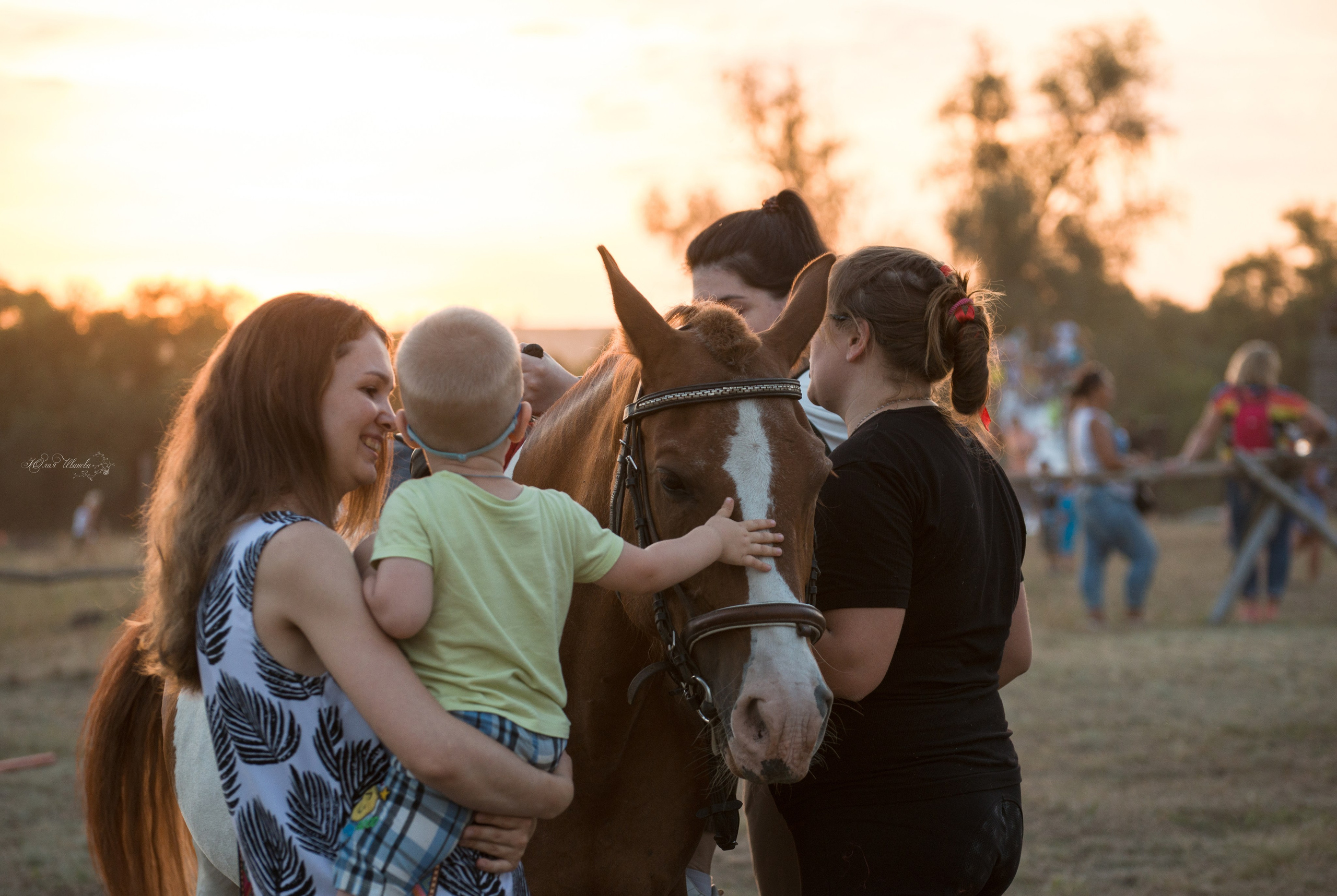 Дети и лошади. Конный фотограф в Саратове Юлия Иванова