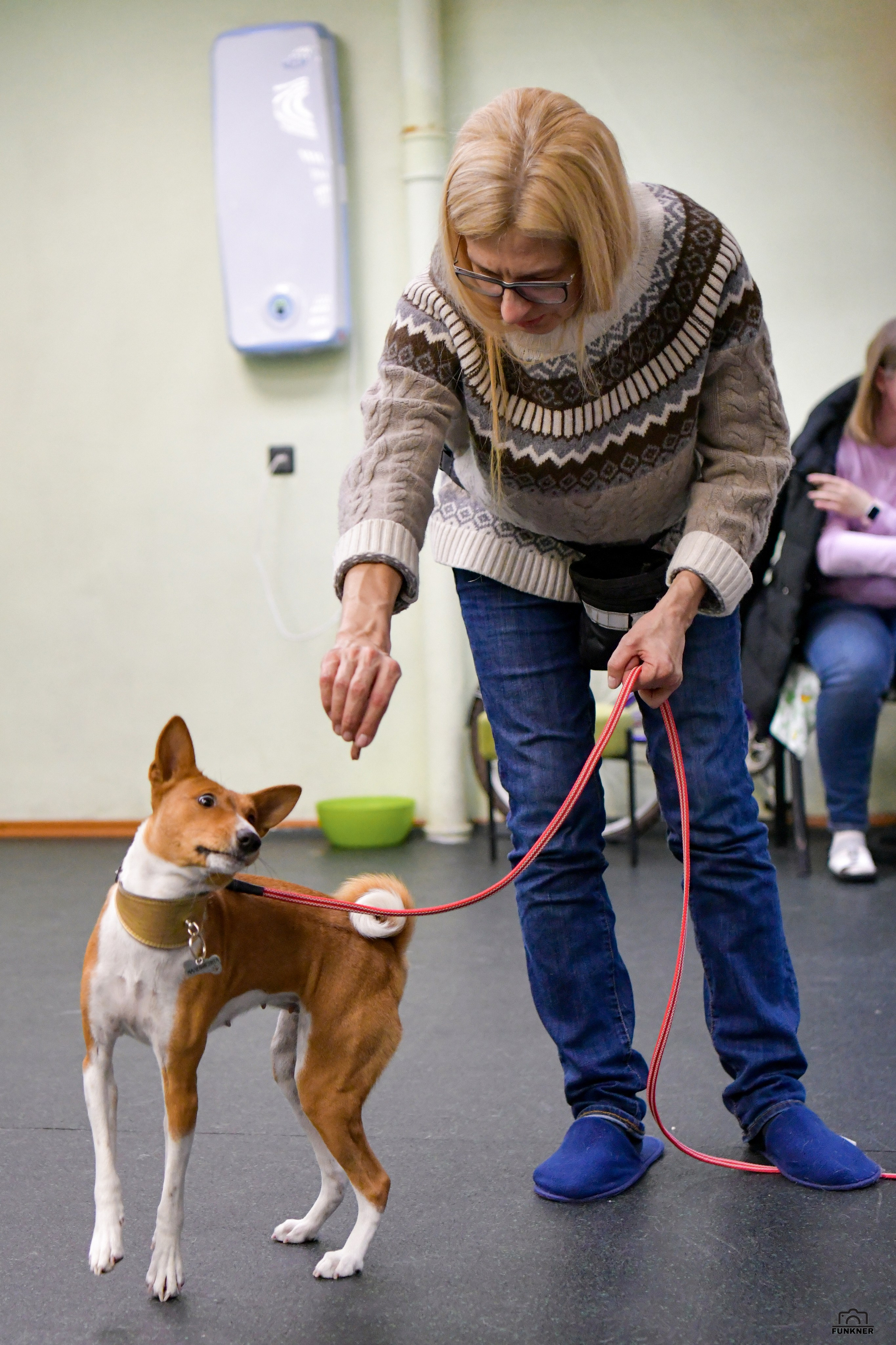 Кинологический клуб «Бодрый хвост». Свой взгляд через объектив