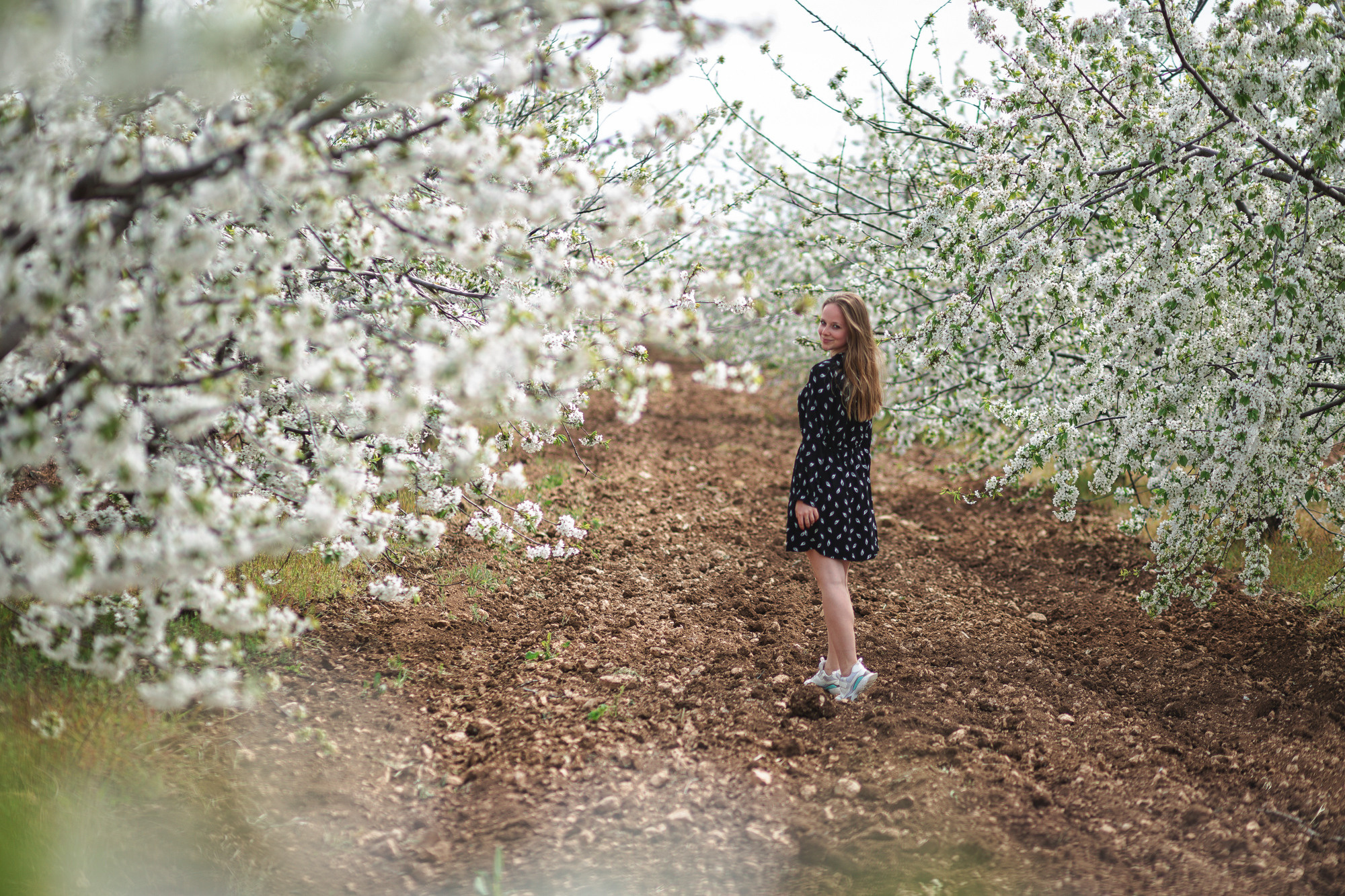 Дарья и Николай. Свадебный и семейный Фотограф в Сириусе и Адлере — Расторгуев Алексей