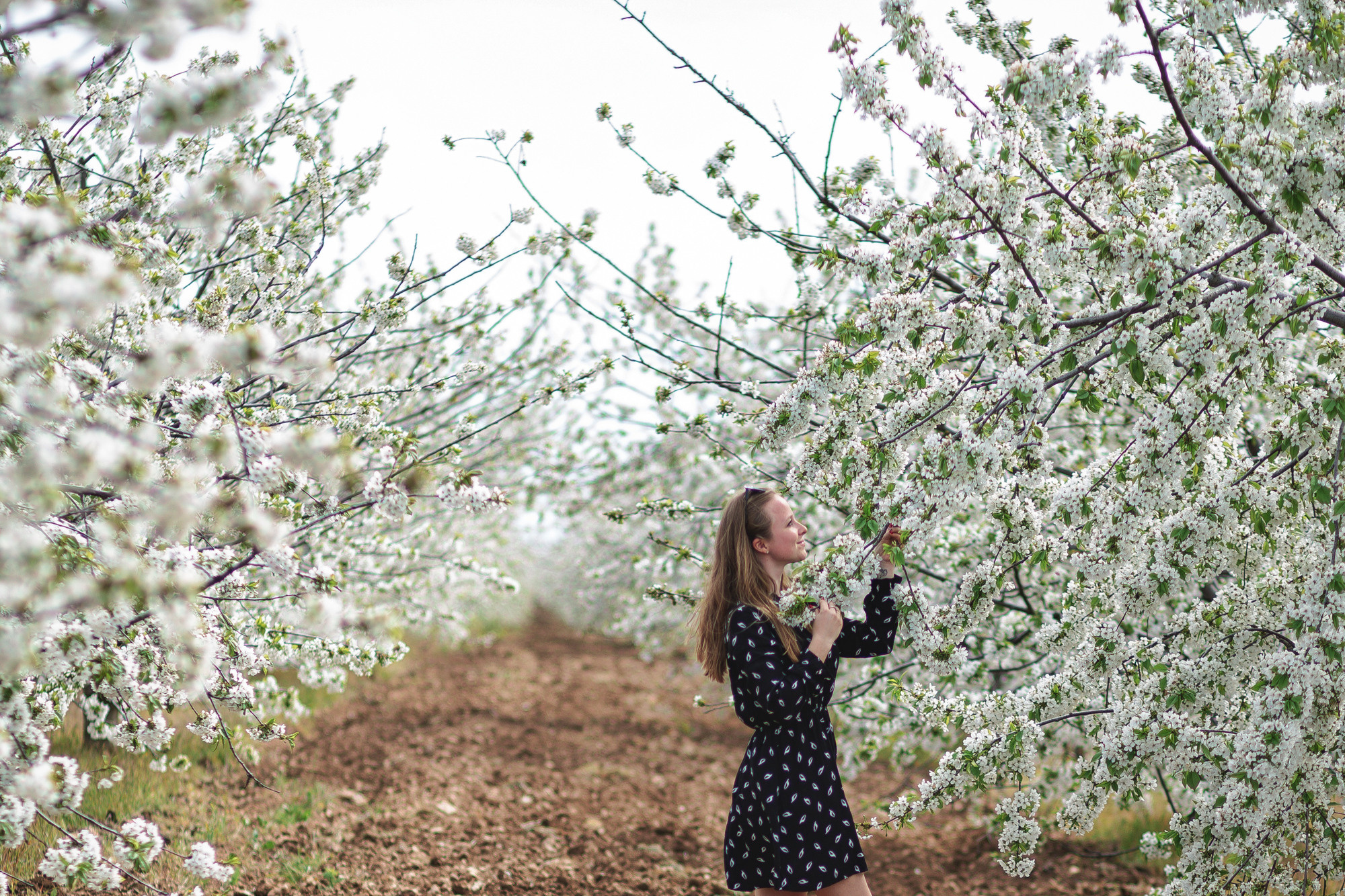 Дарья и Николай. Свадебный и семейный Фотограф в Сириусе и Адлере — Расторгуев Алексей