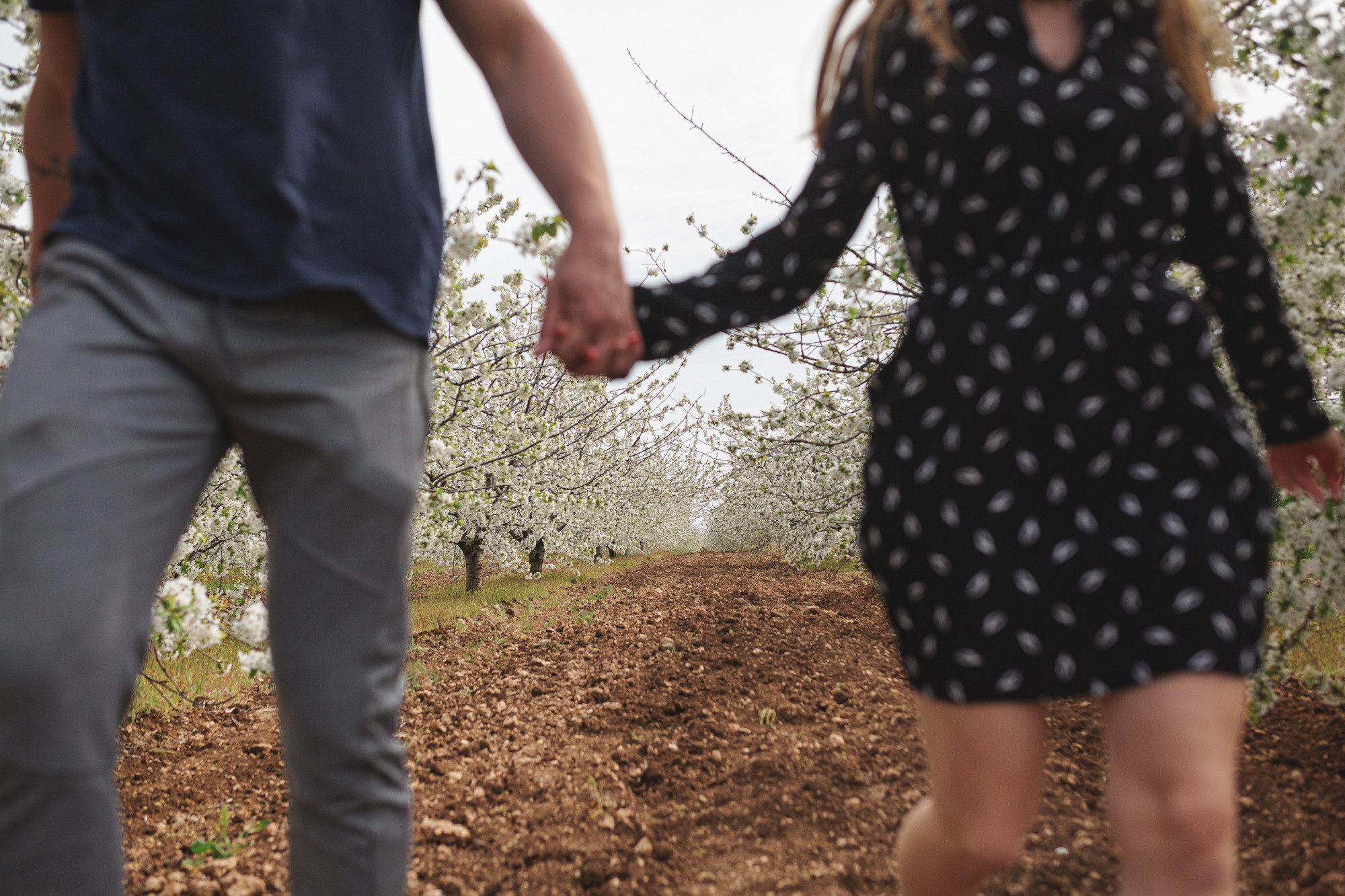 Дарья и Николай. Свадебный и семейный Фотограф в Сириусе и Адлере — Расторгуев Алексей