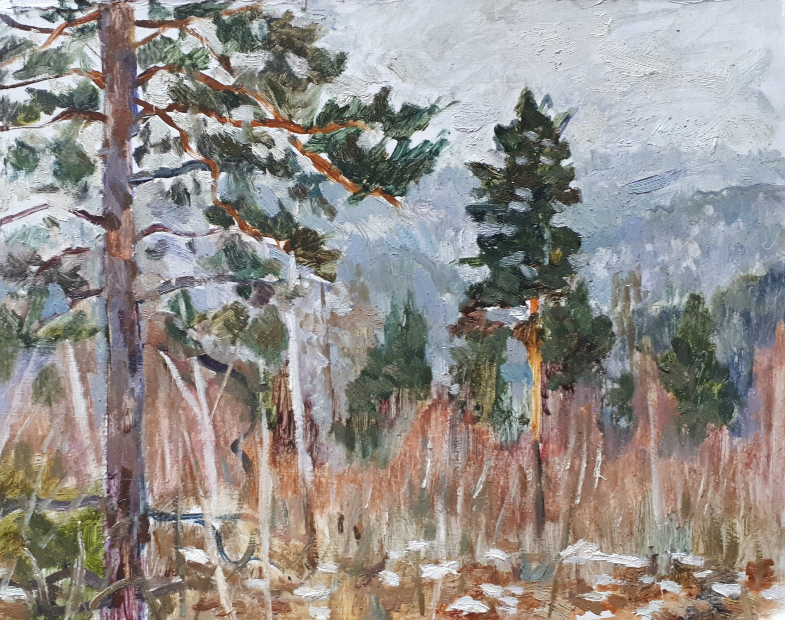 Сибирь, Байкал. Художник и гид по Камчатке Евгений Чайкин