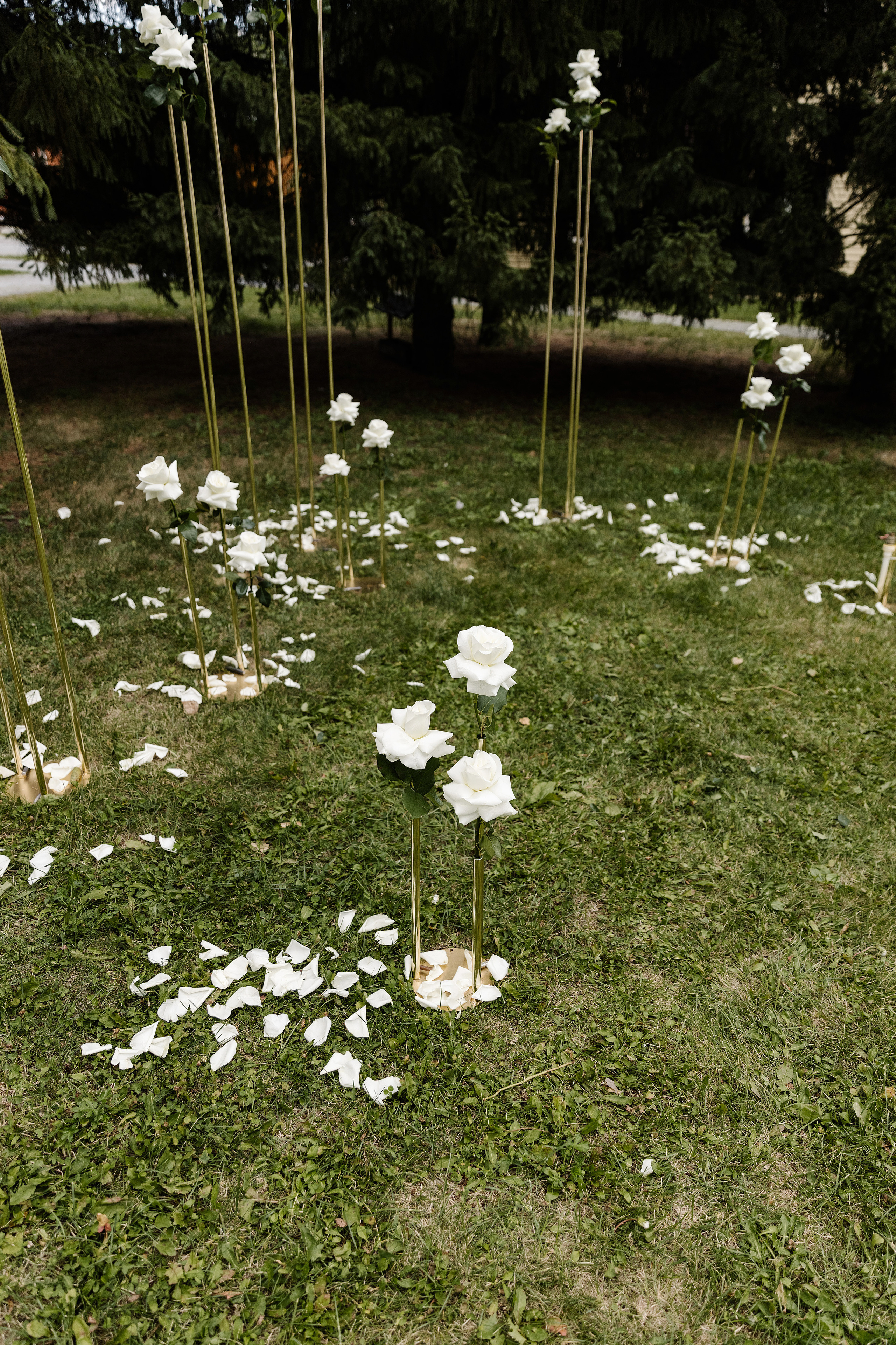 Виктория и Андрей — полная серия. ONLY22 — СООБЩЕСТВО СВАДЕБНЫХ ПРОФЕССИОНАЛОВ