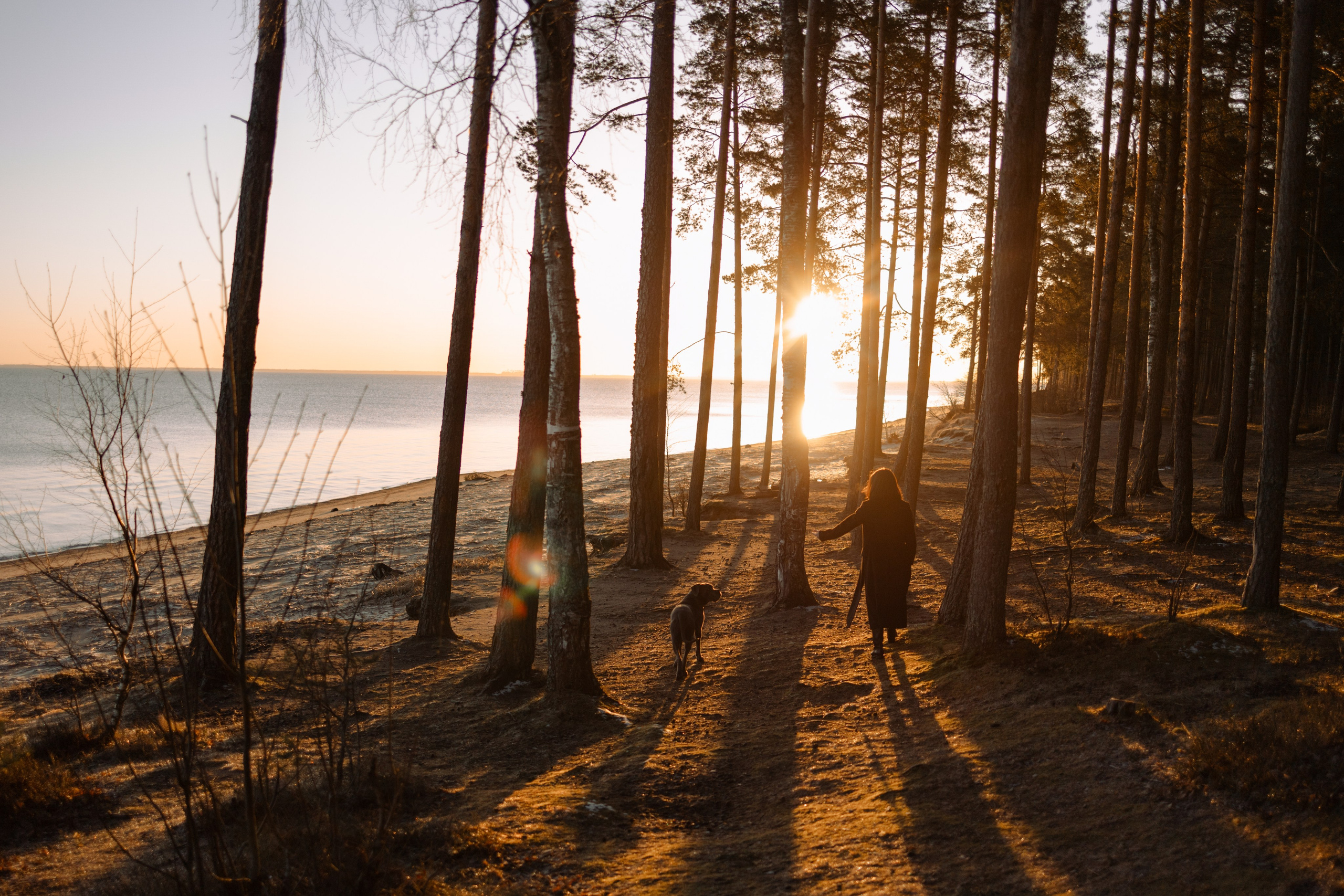 Анна и Лана. Фотограф — Анималист | Санкт-Петербург