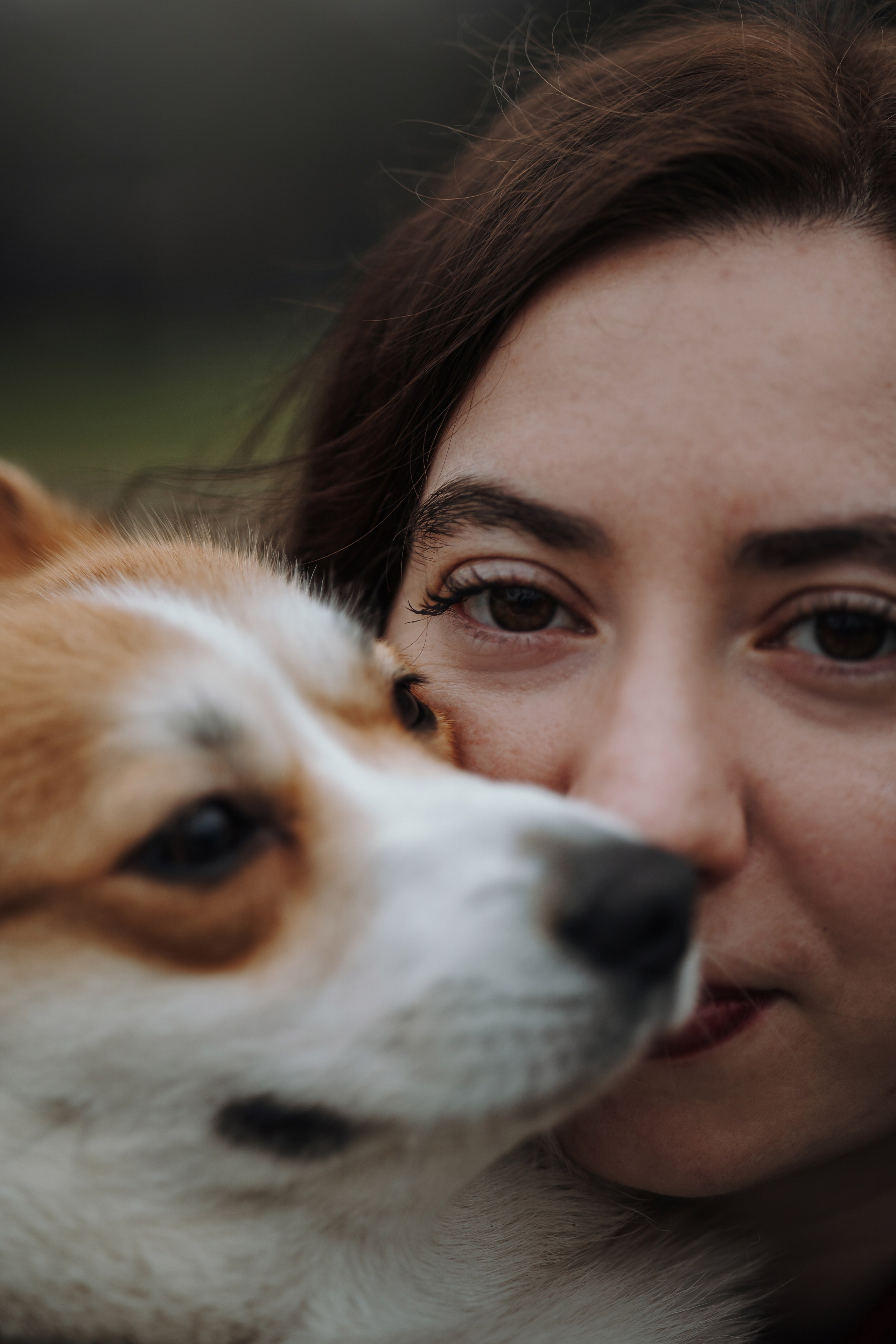 Юля и Терри. Фотограф — Анималист | Санкт-Петербург