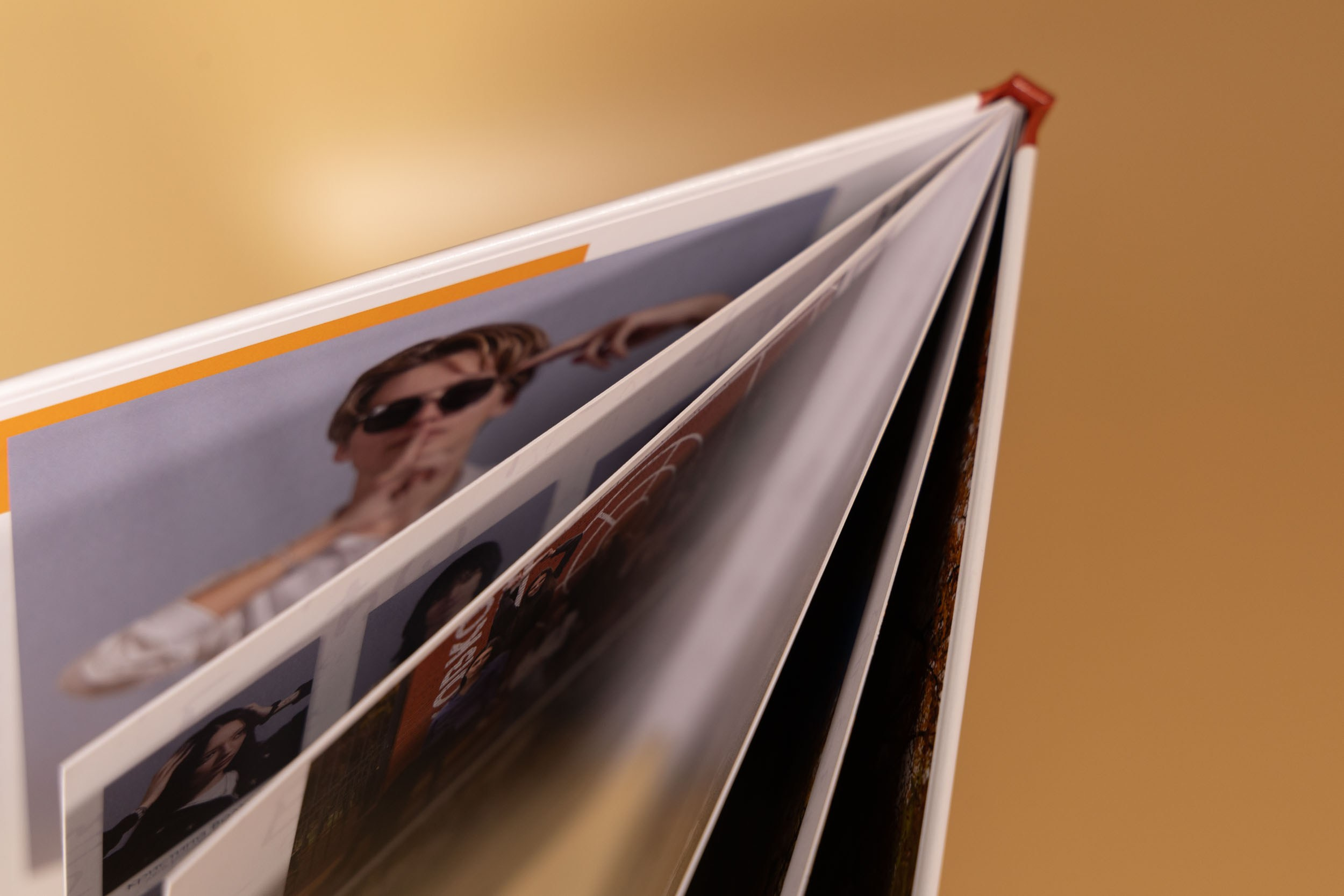 Выпускная папка для 11 класса в Вологде