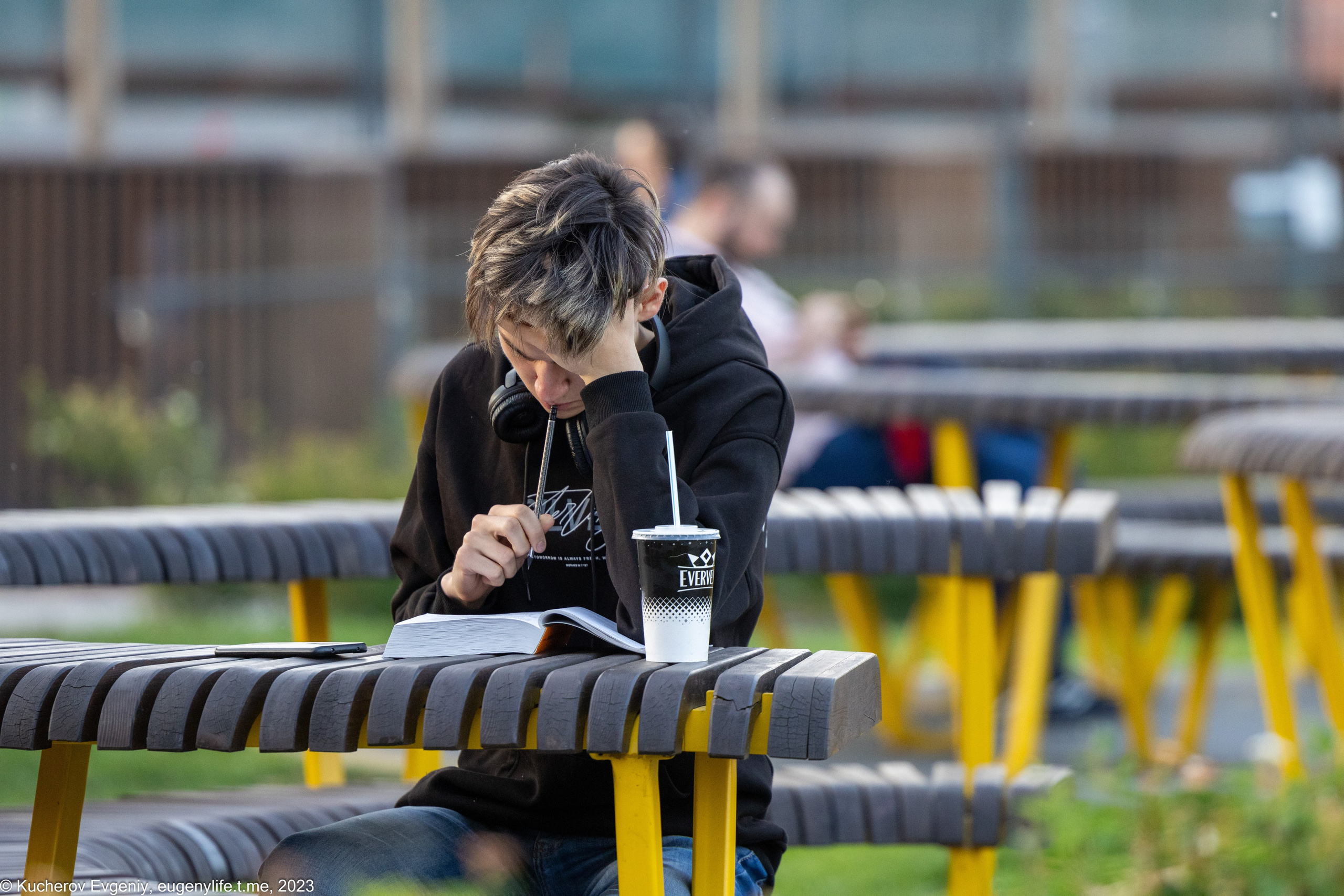 Скамейки. Кучеров Евгений. Фотограф