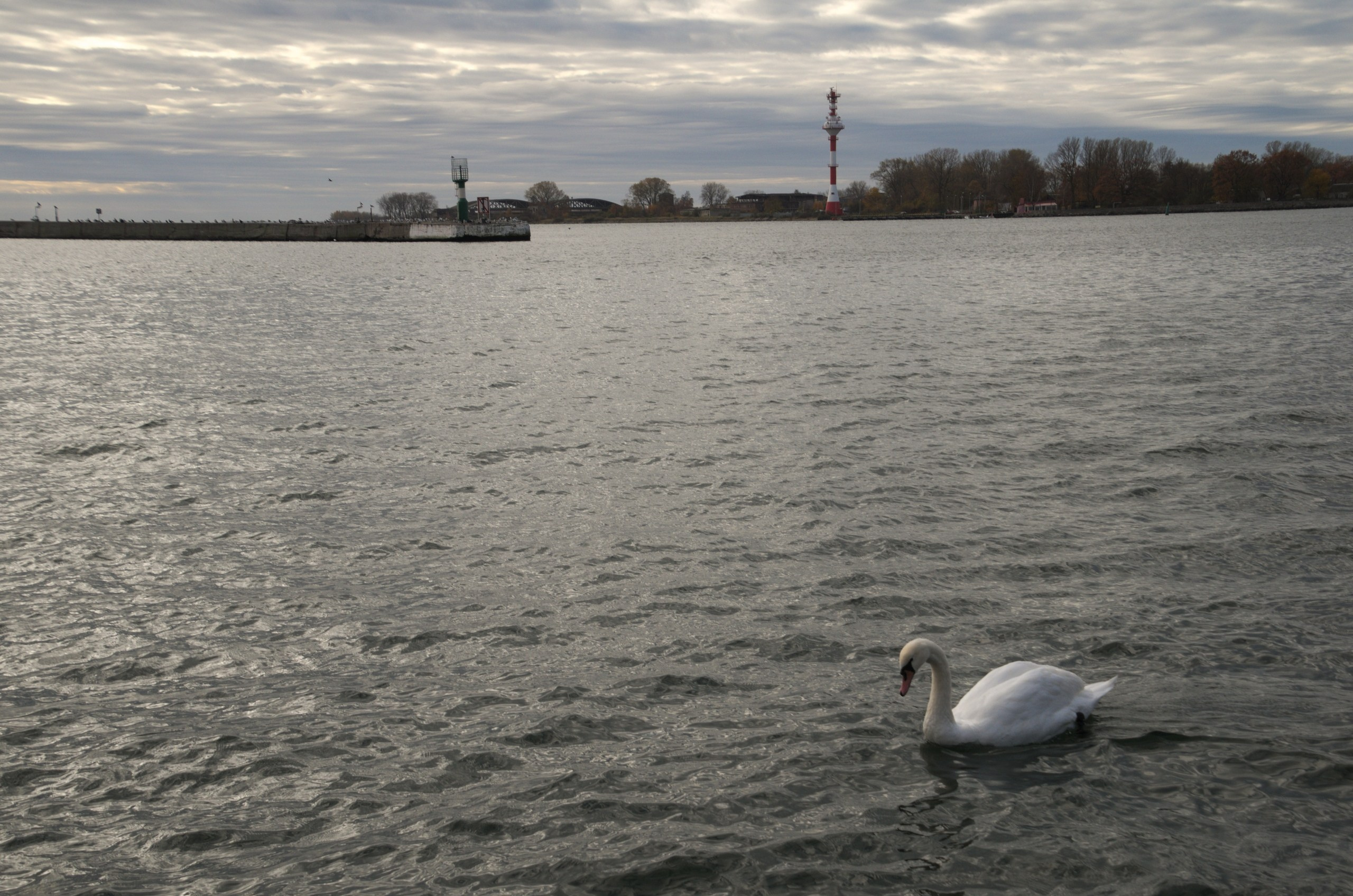 Калининград | 03-05.11.2018. Галерея Фантим
