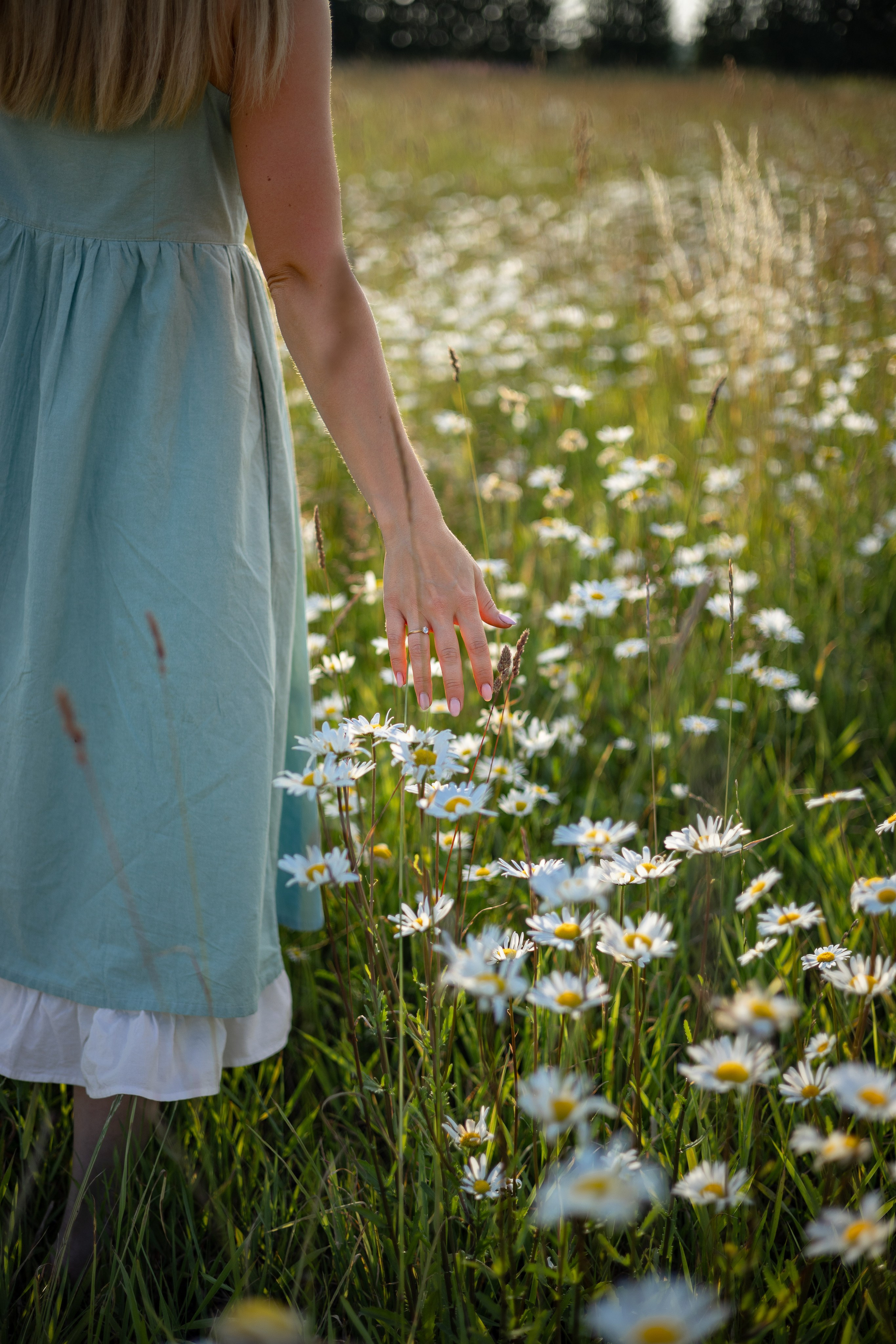 Индивидуальная фотосессия. Ромашки. Фотограф Самойлова Анна Архангельск, Северодвинск
