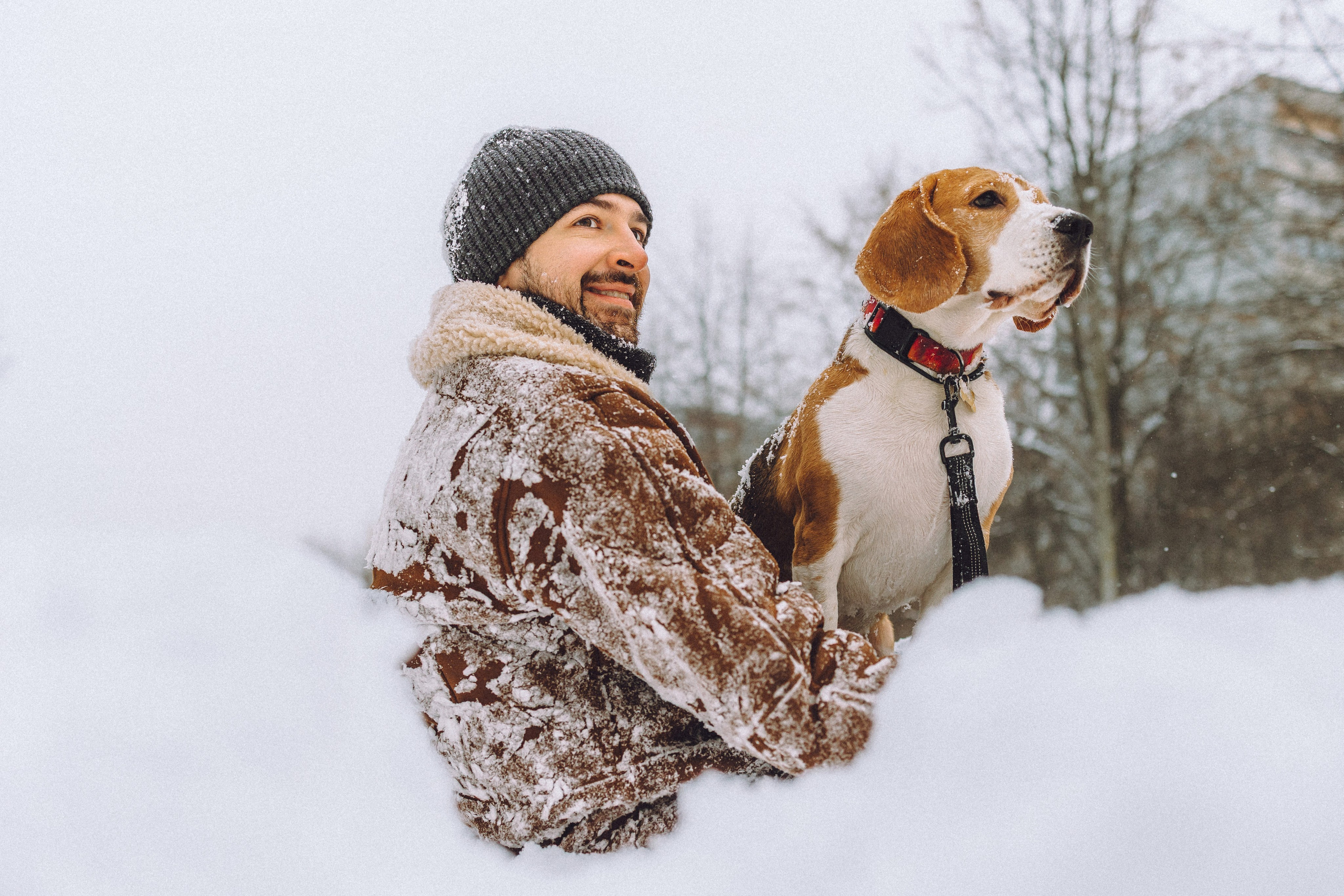 Роман, Портер и Коррес