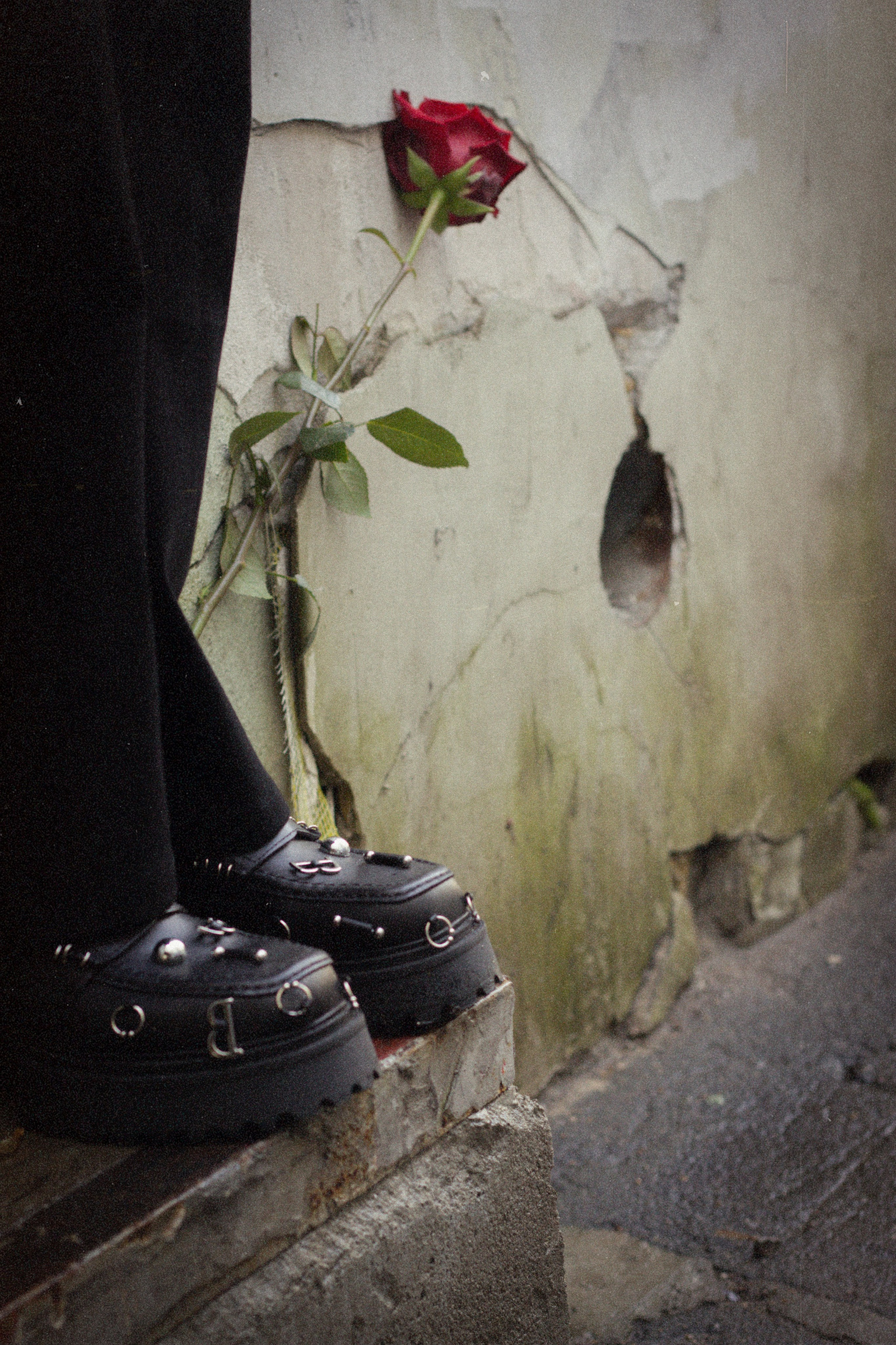 ALINA GOLDENBERG. Главная