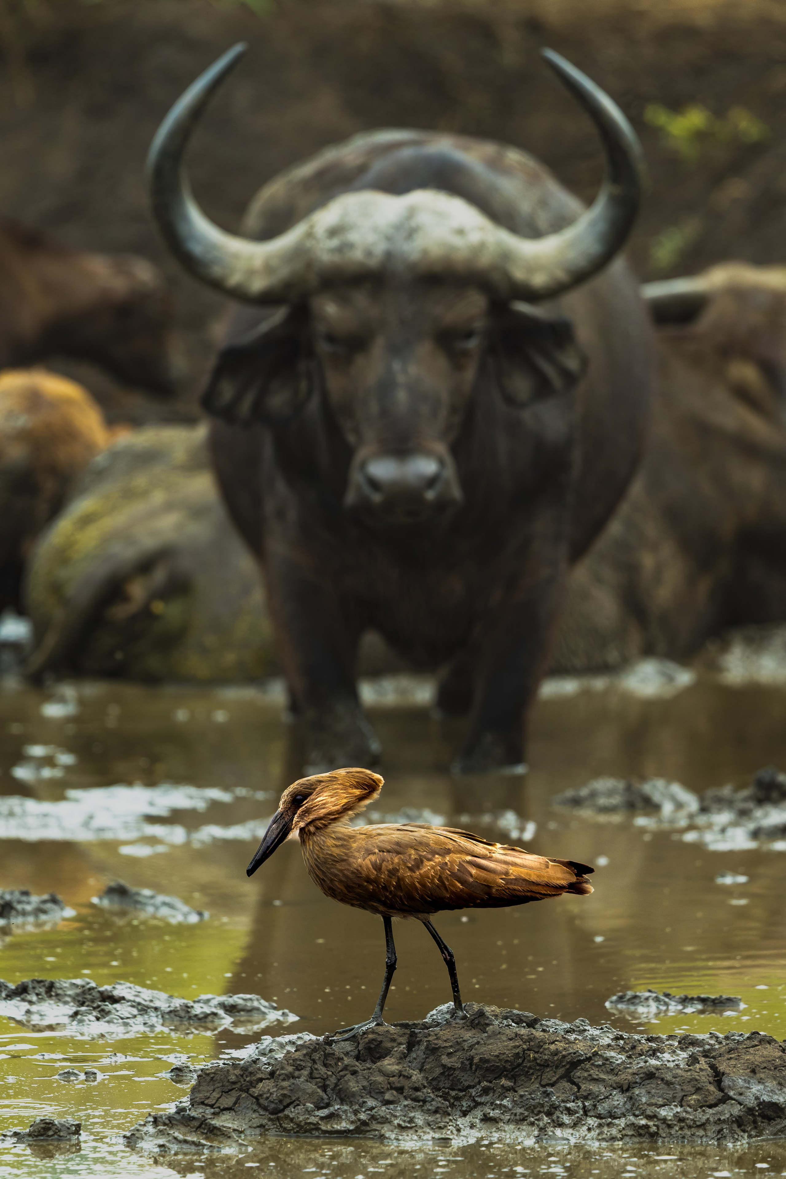 Ростов-на-Дону «МИР В ДЕТАЛЯХ». ARTEXPOPHOTO